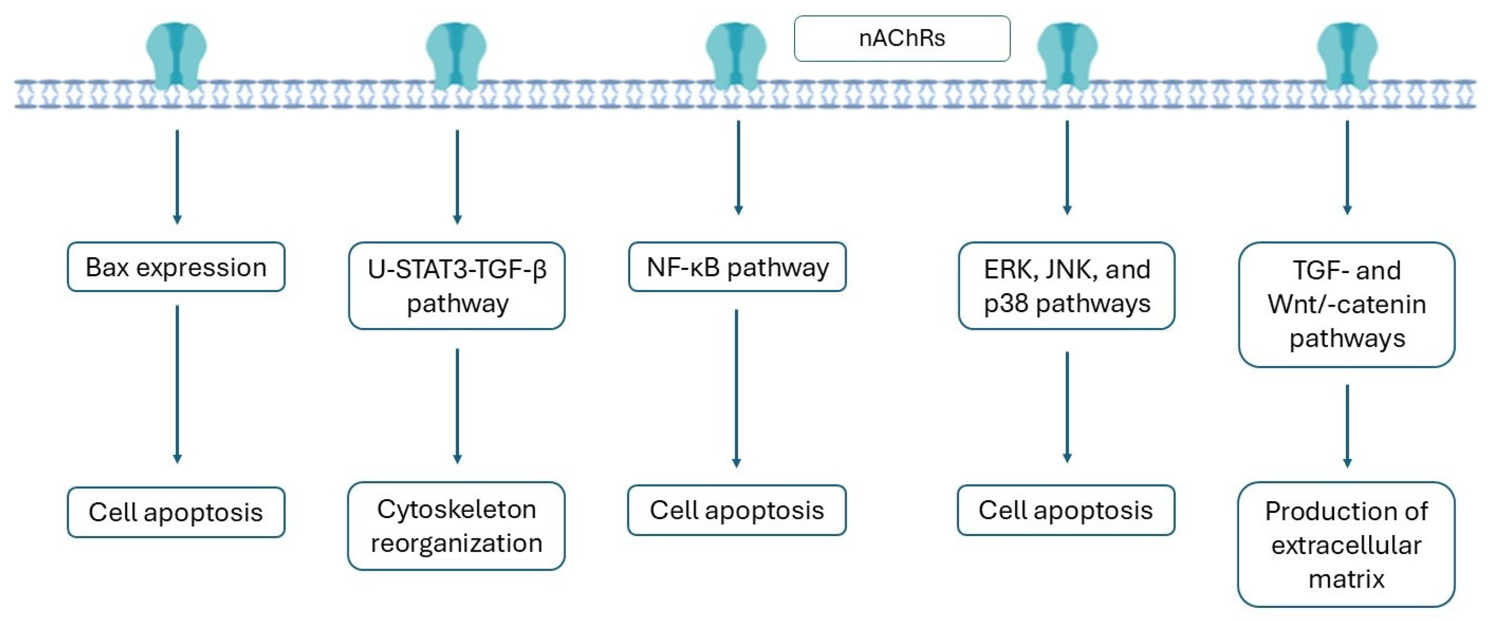 Antioxidants 14 01233 g003