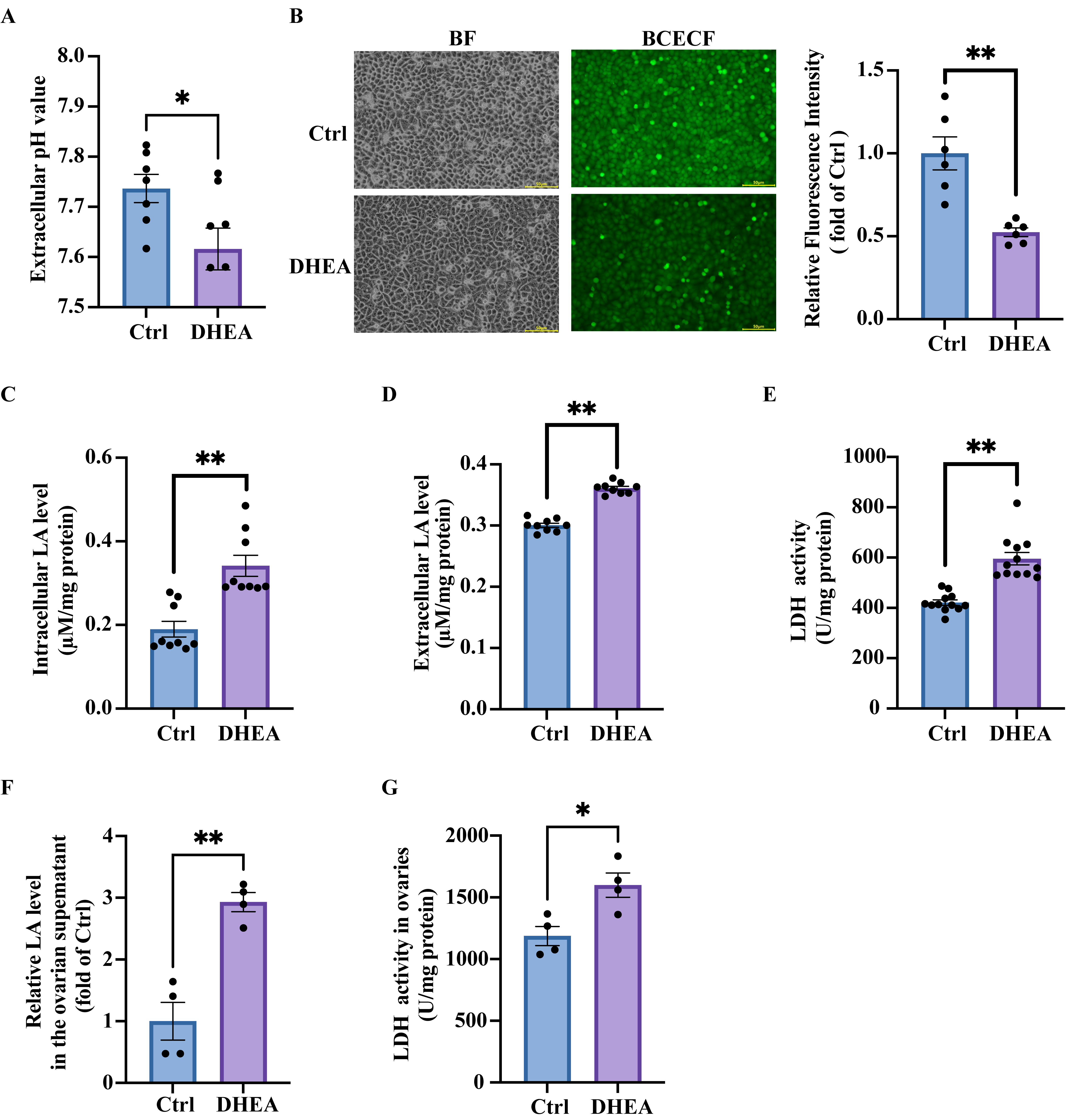Antioxidants 14 01235 g001 Antioxidants 14 01235 g001