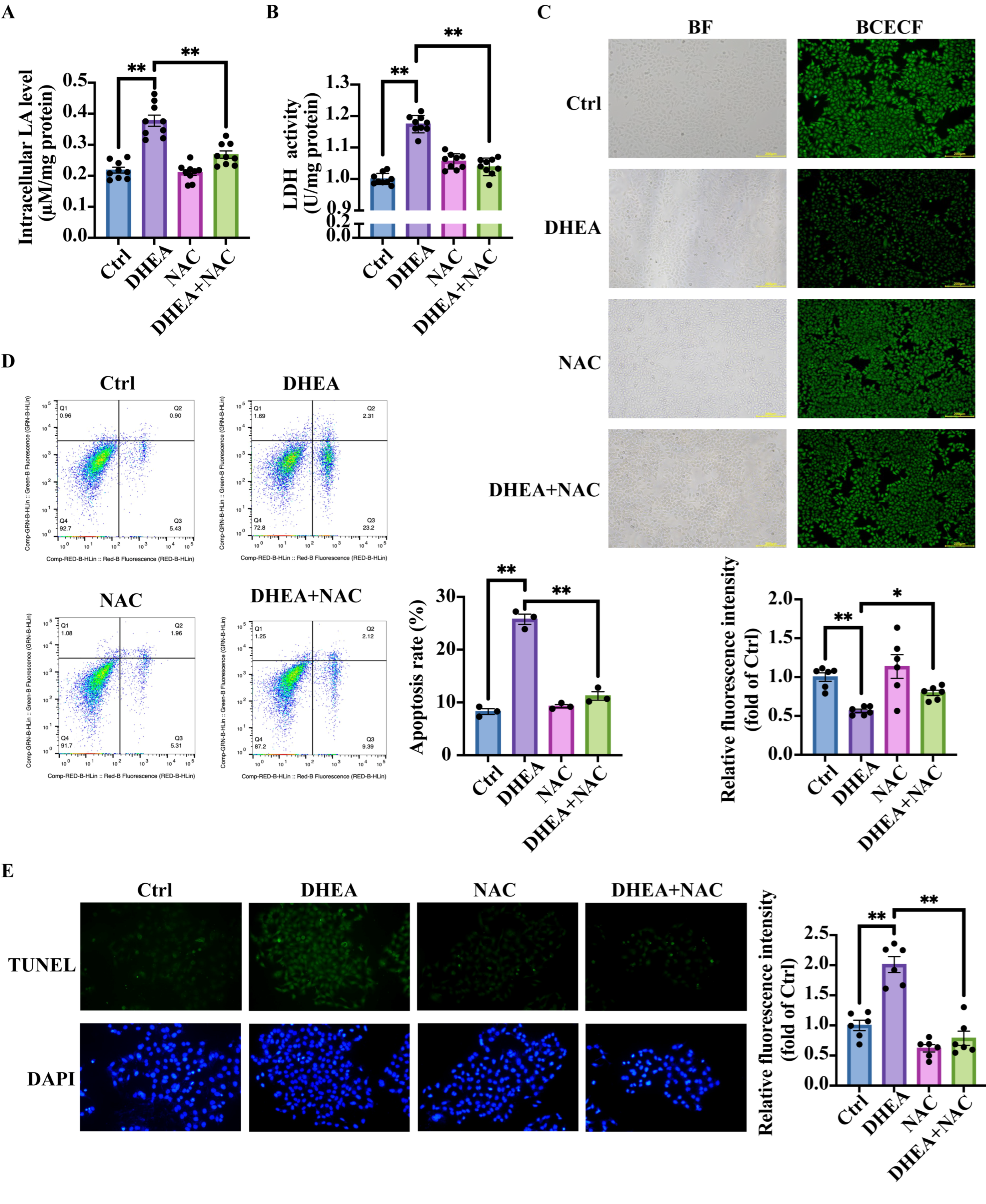Antioxidants 14 01235 g005 Antioxidants 14 01235 g005