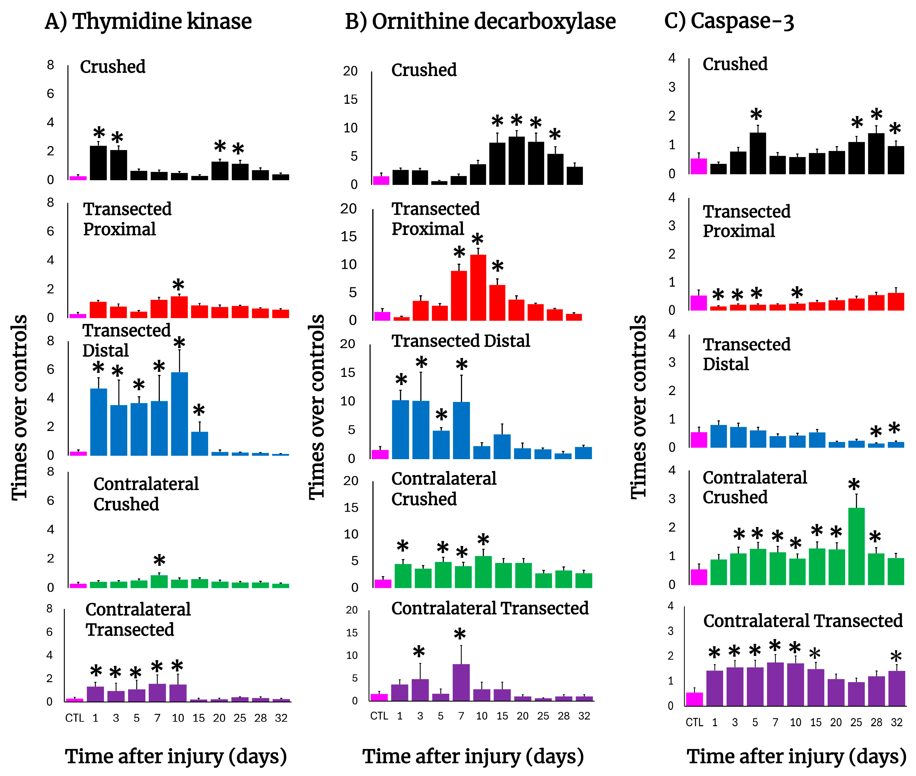 Antioxidants 14 01236 g004