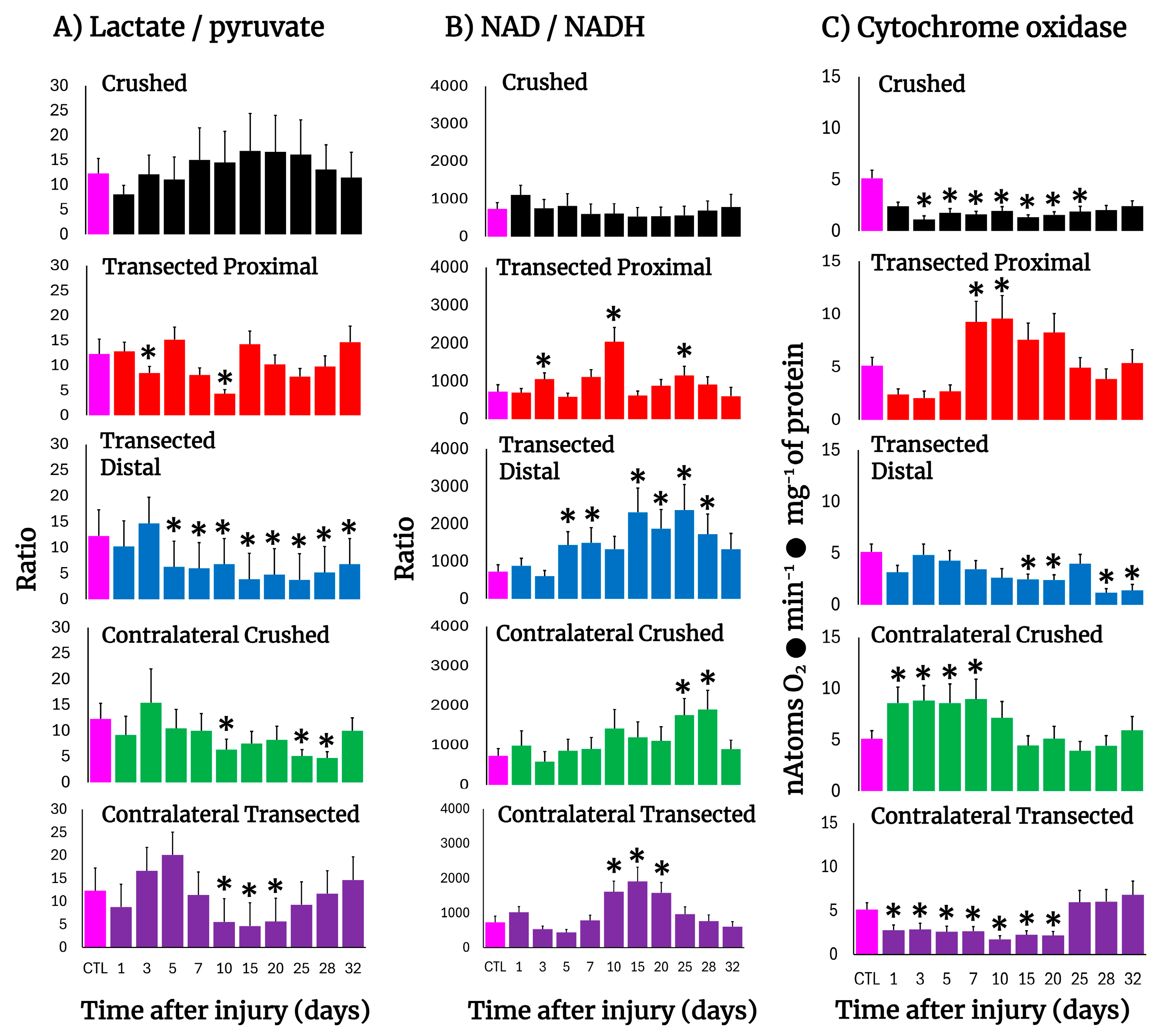 Antioxidants 14 01236 g005