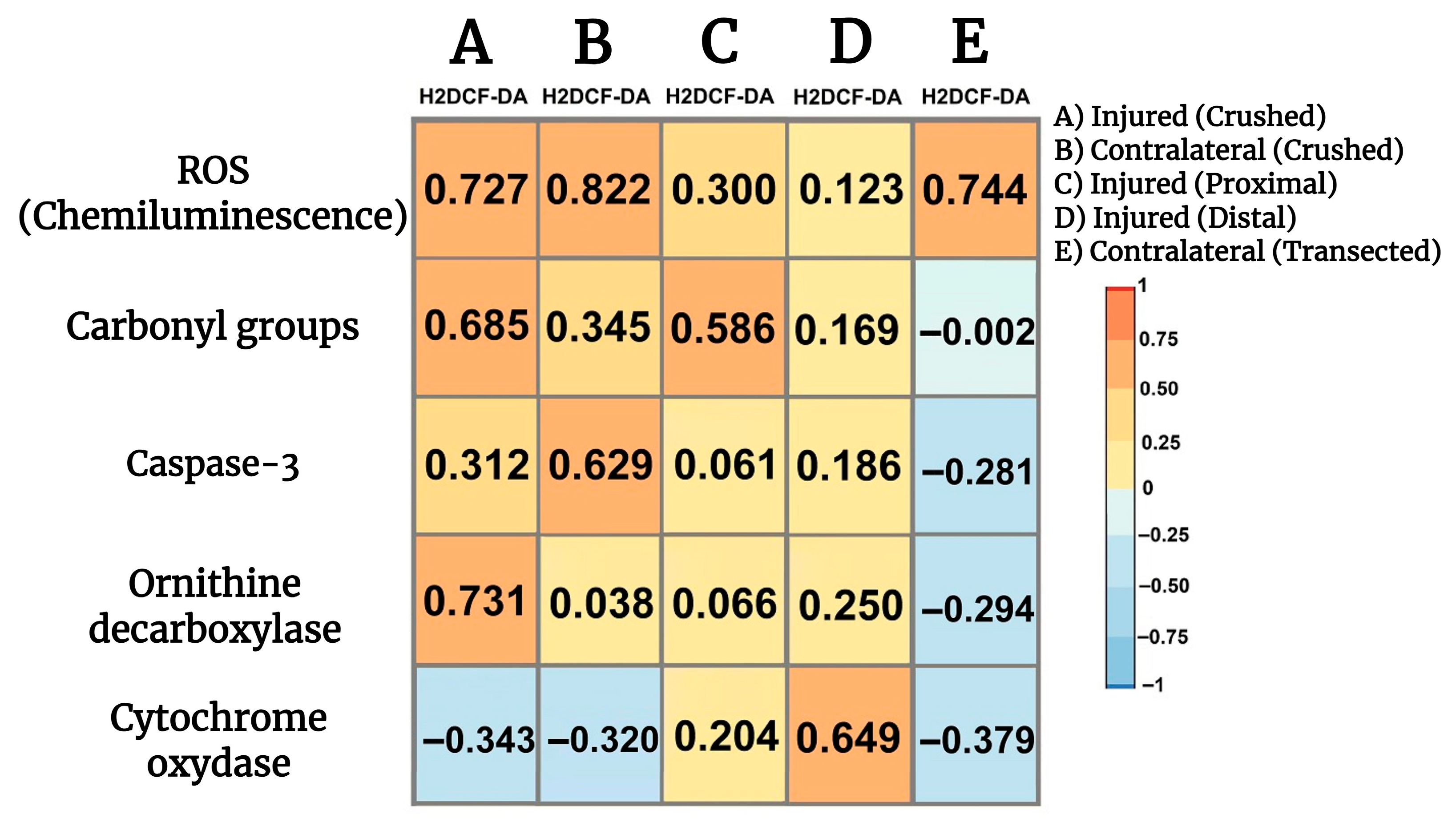 Antioxidants 14 01236 g007
