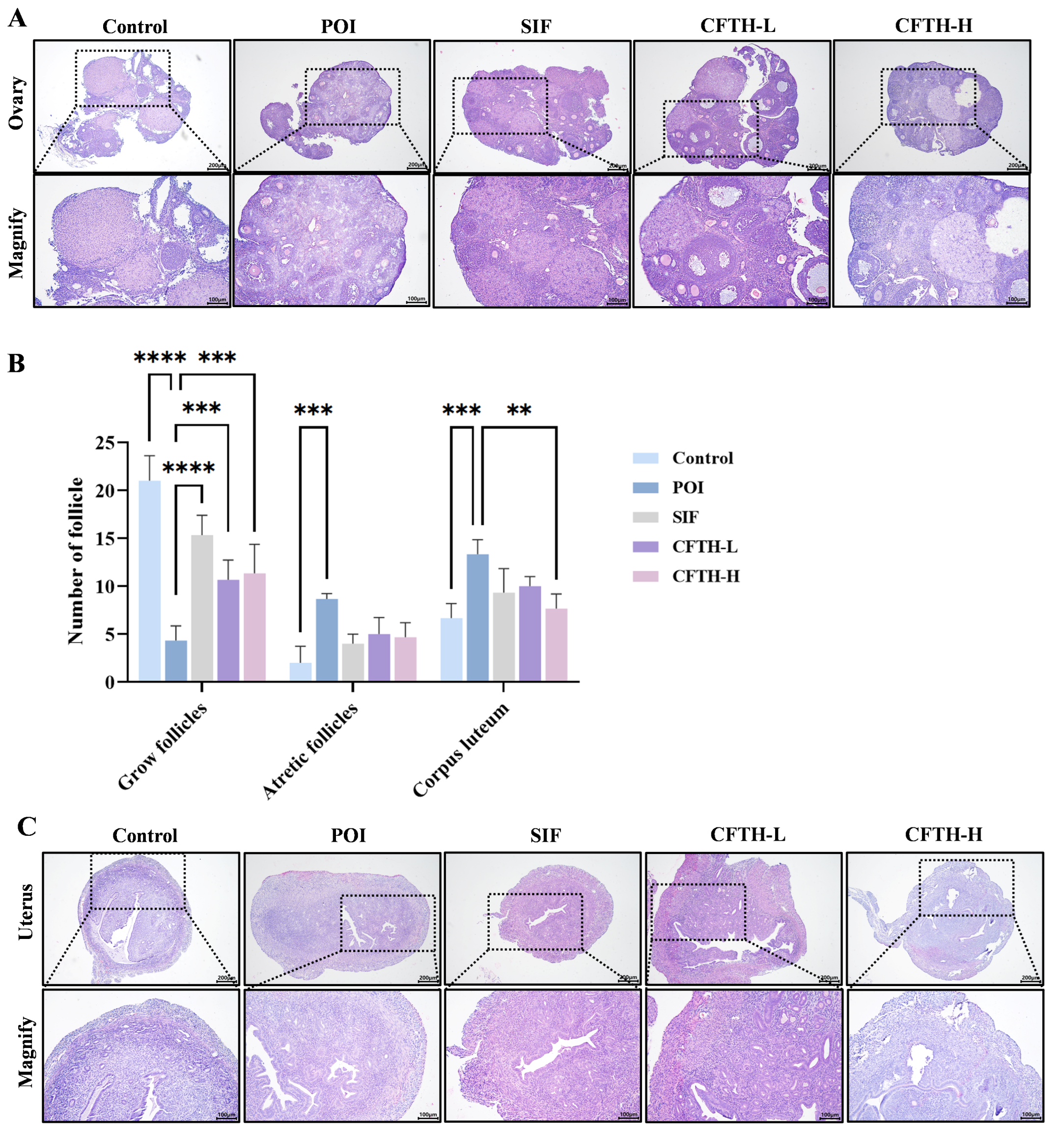 Antioxidants 14 01245 g003