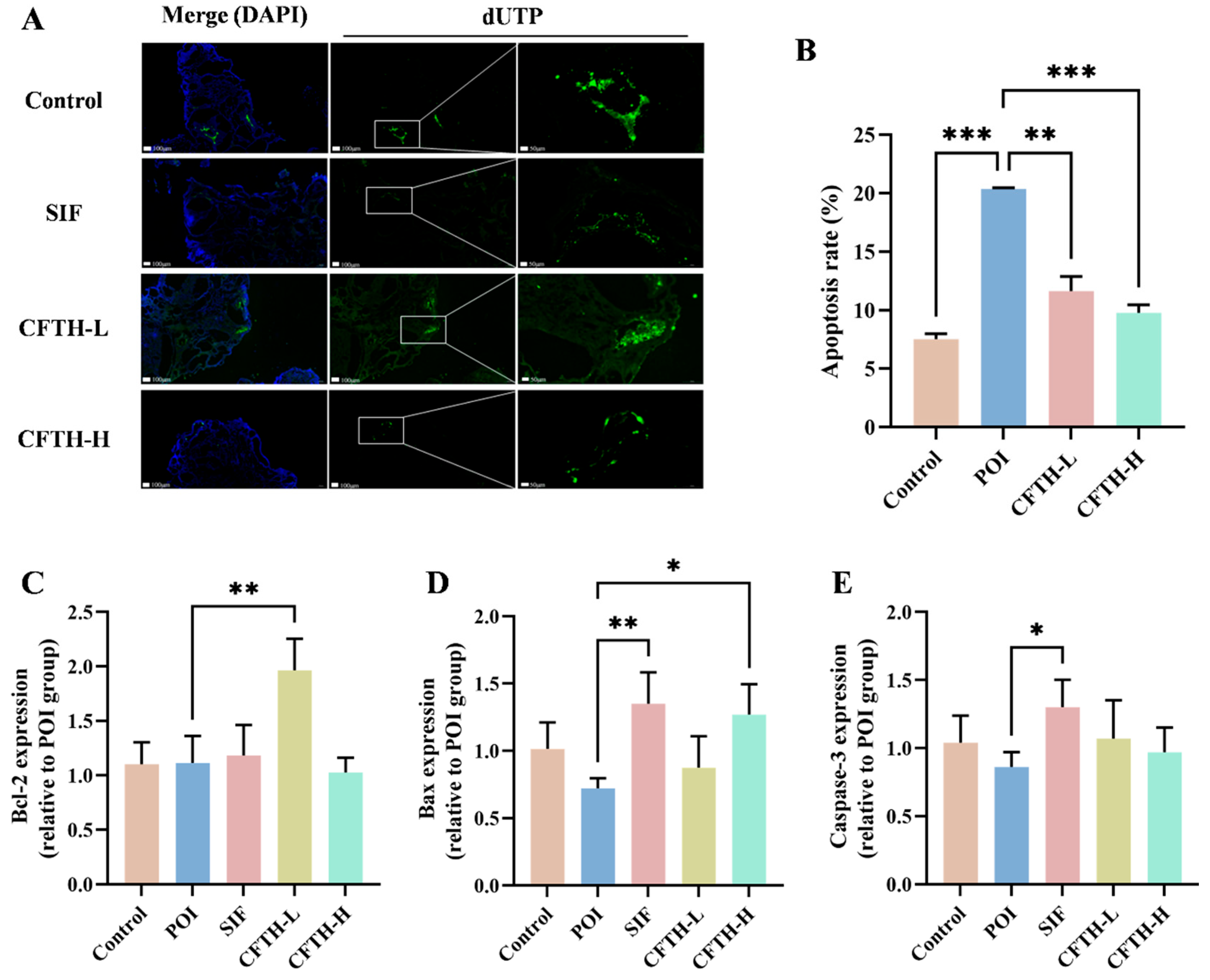 Antioxidants 14 01245 g005
