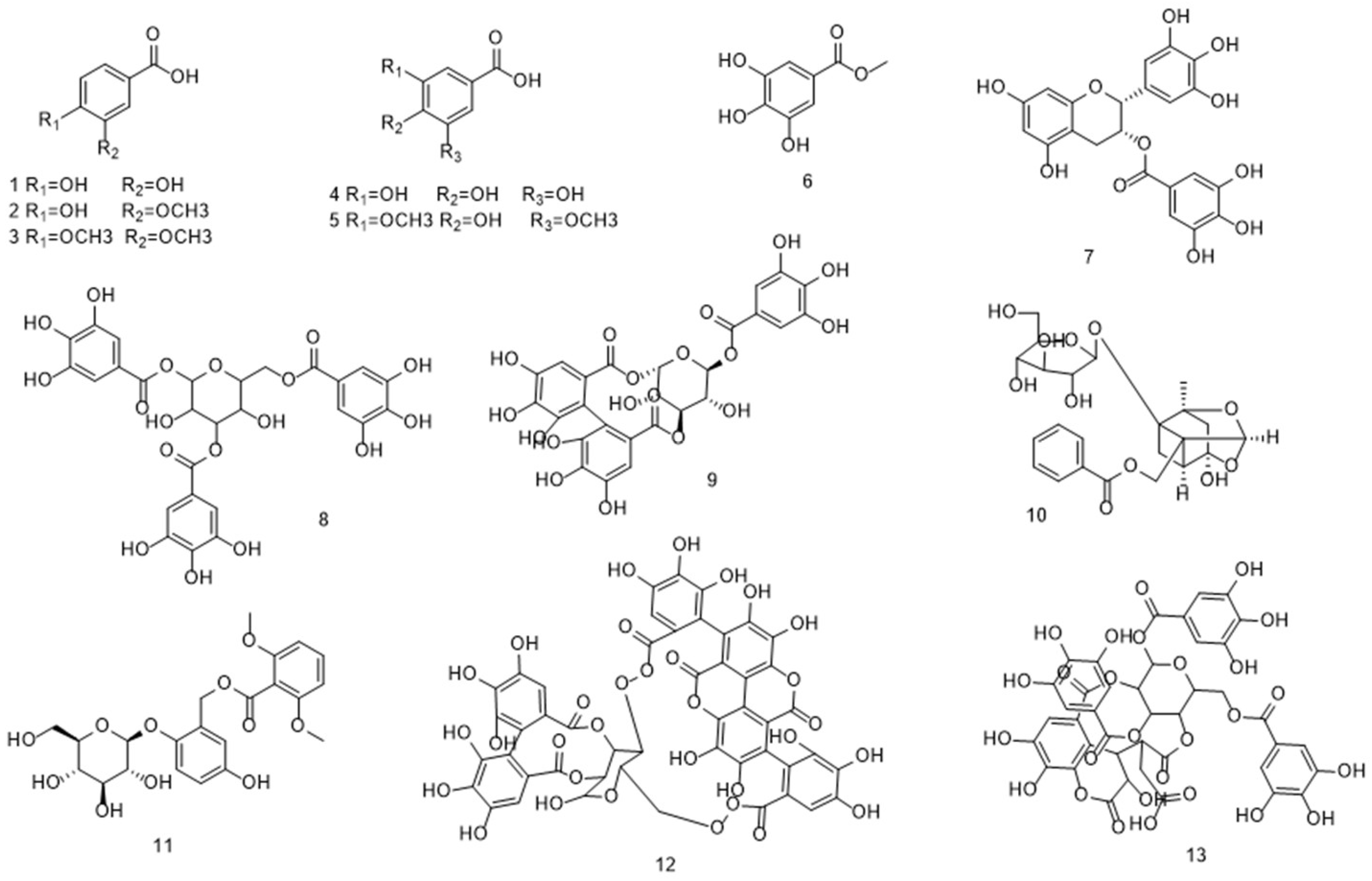 Antioxidants 14 01247 g002