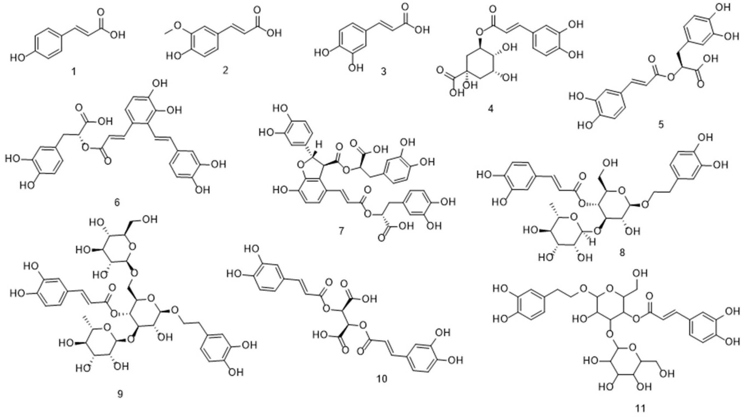 Antioxidants 14 01247 g003