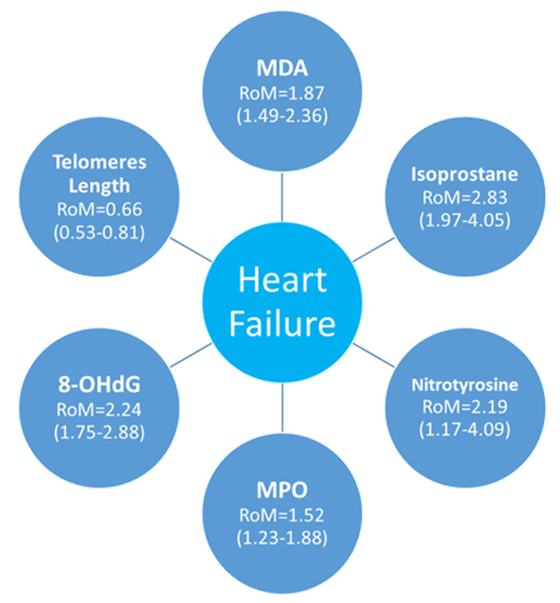 Antioxidants 14 01249 g008