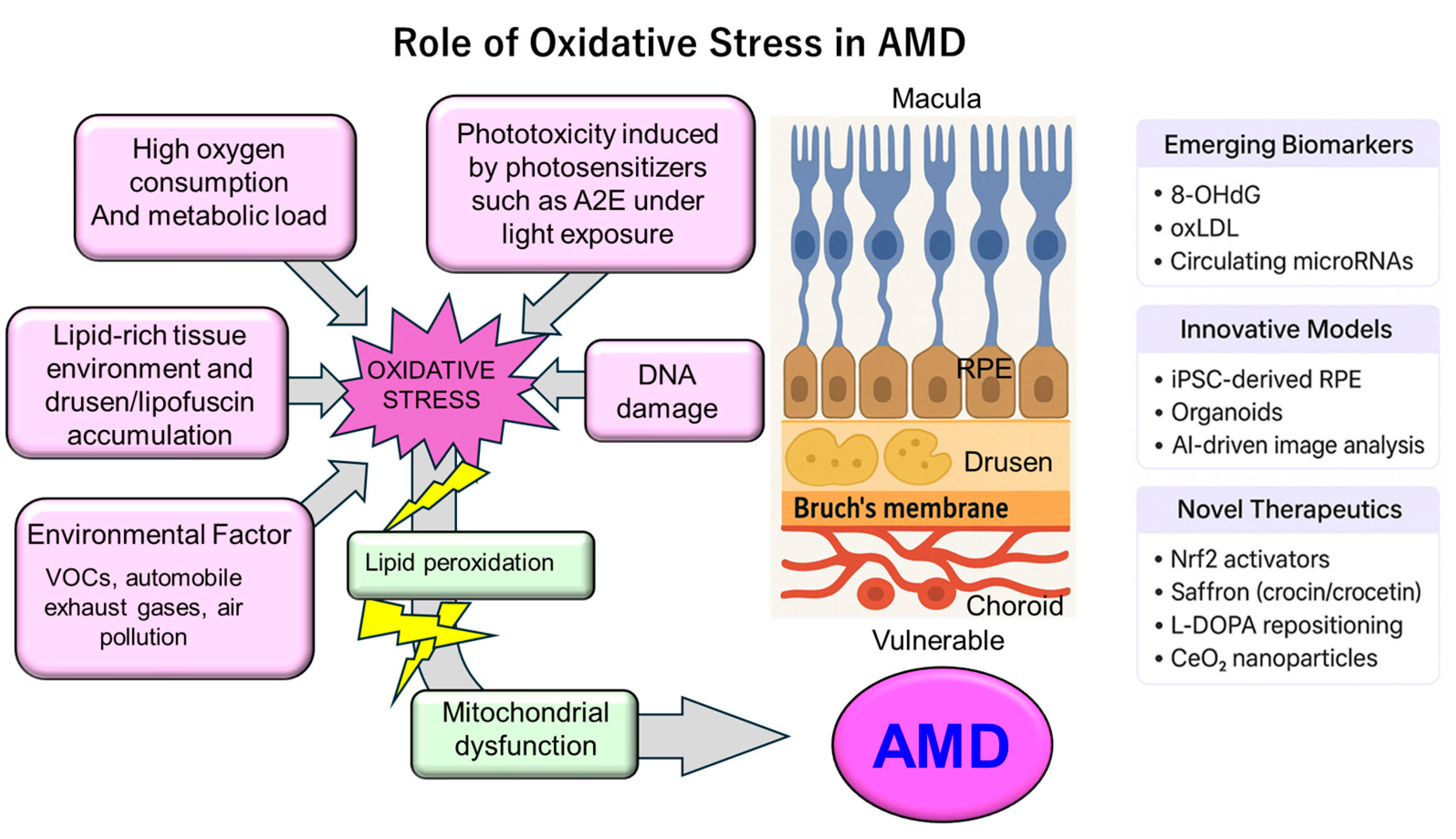 Antioxidants 14 01251 g002