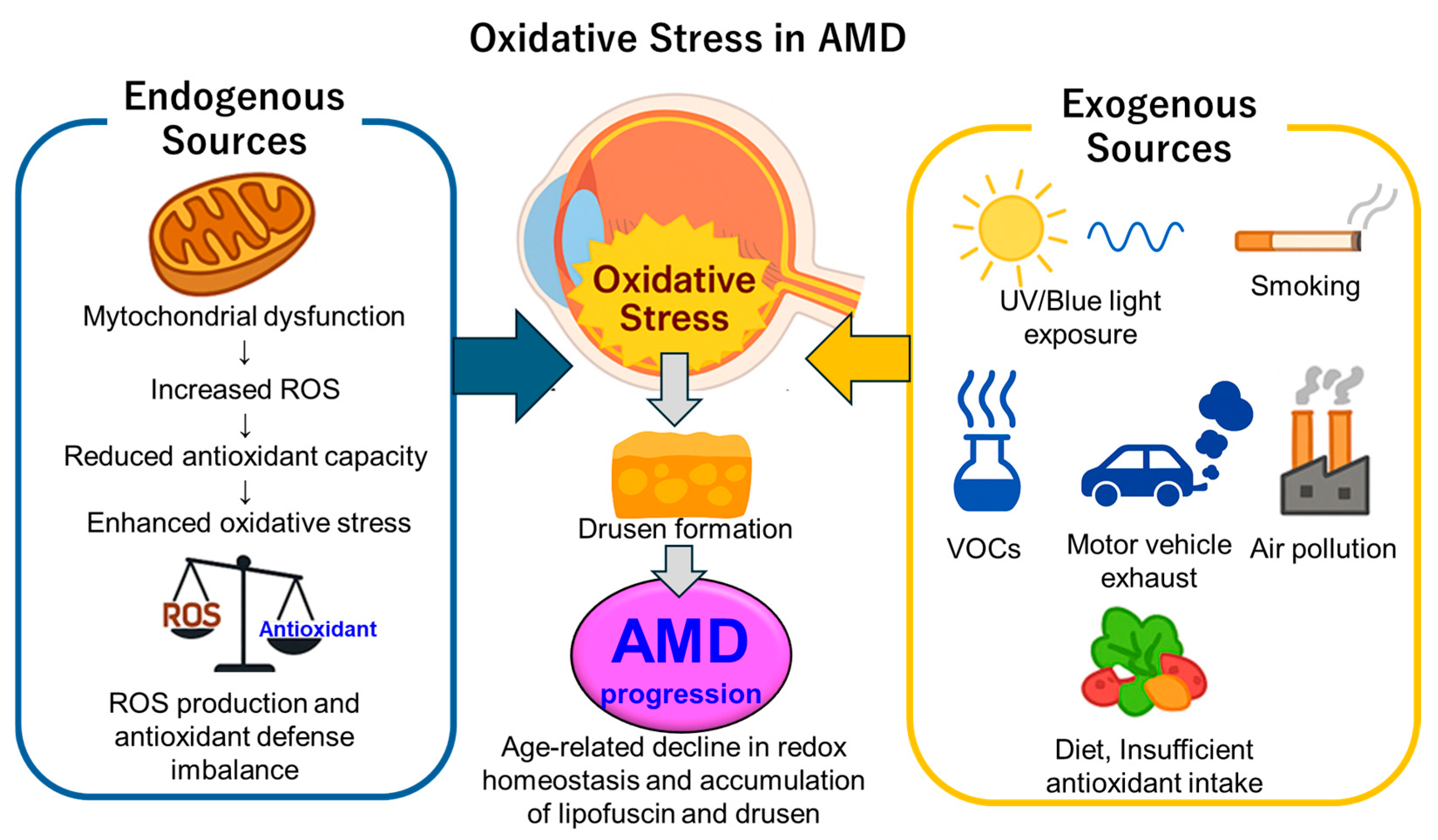 Antioxidants 14 01251 g003