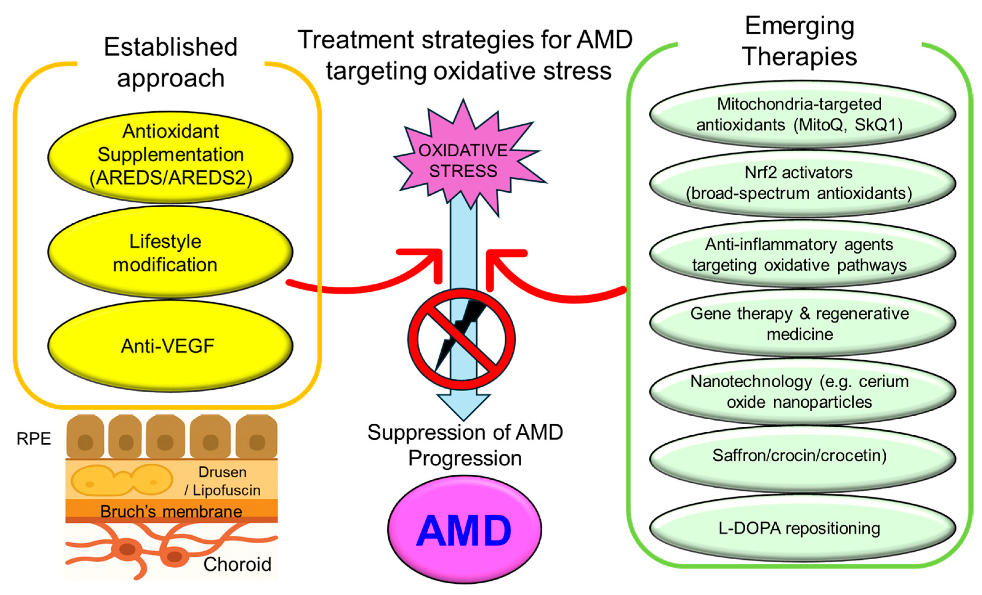 Antioxidants 14 01251 g004