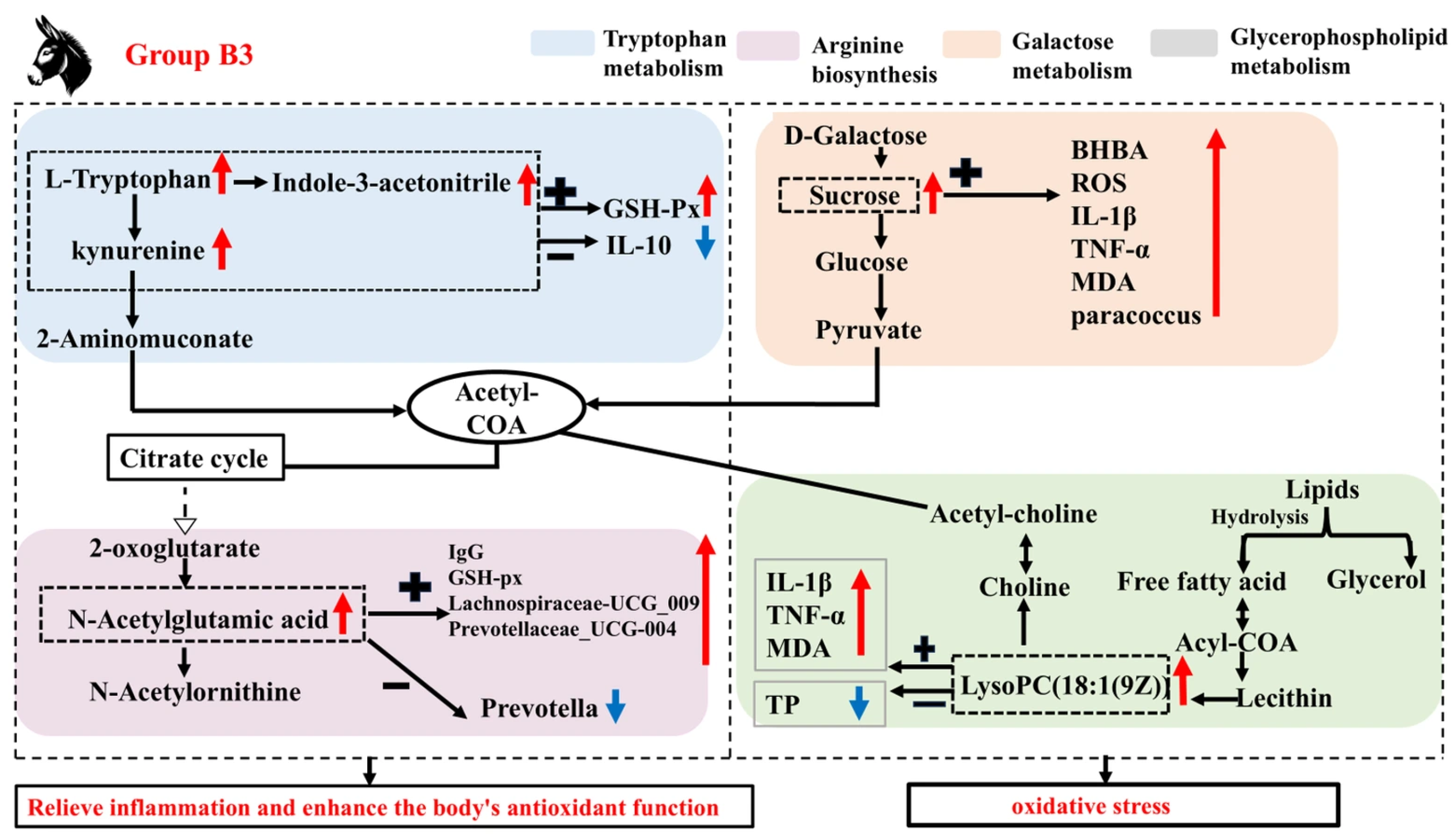 Antioxidants 14 01253 g007