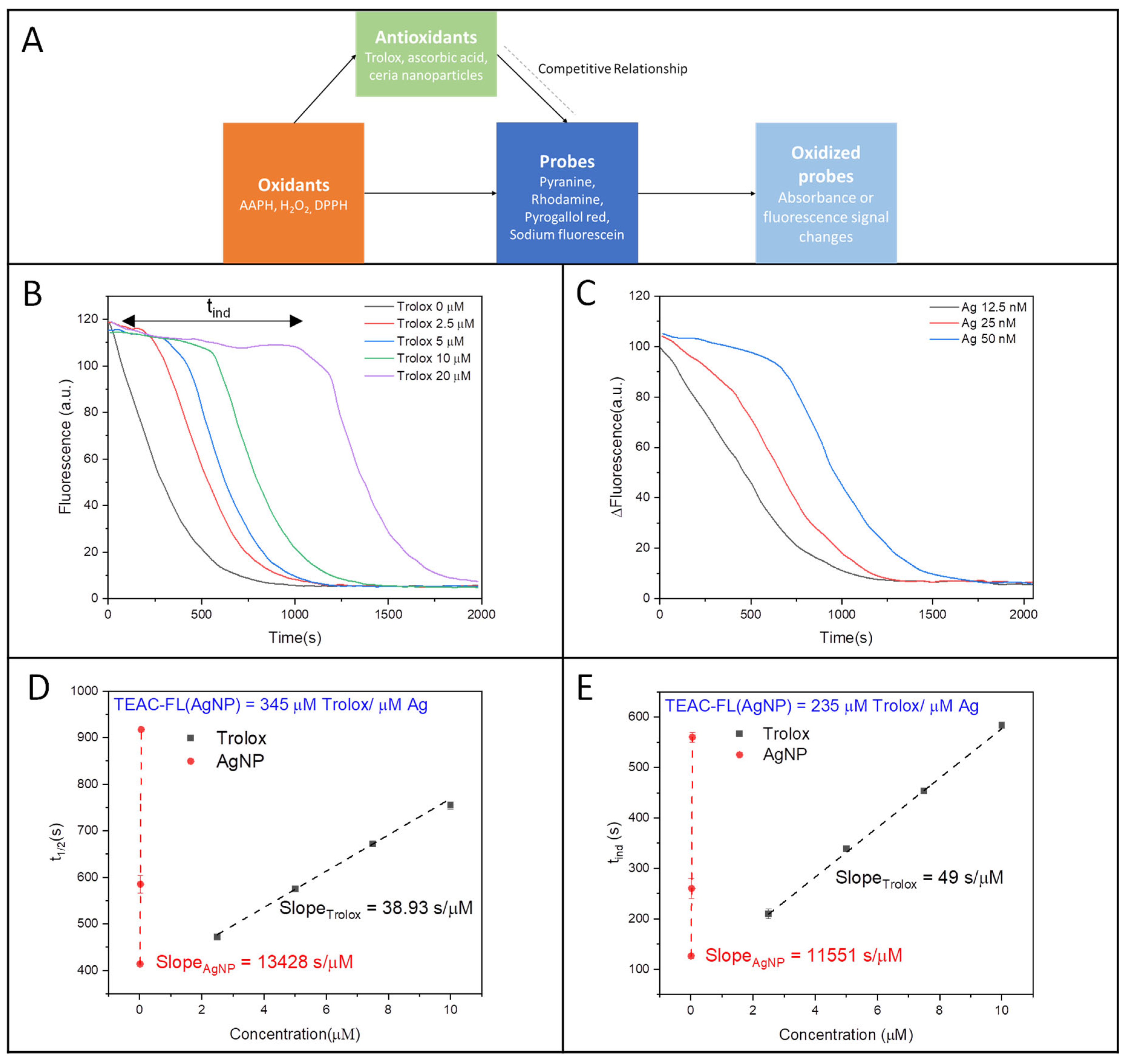 Antioxidants 14 01254 sch001