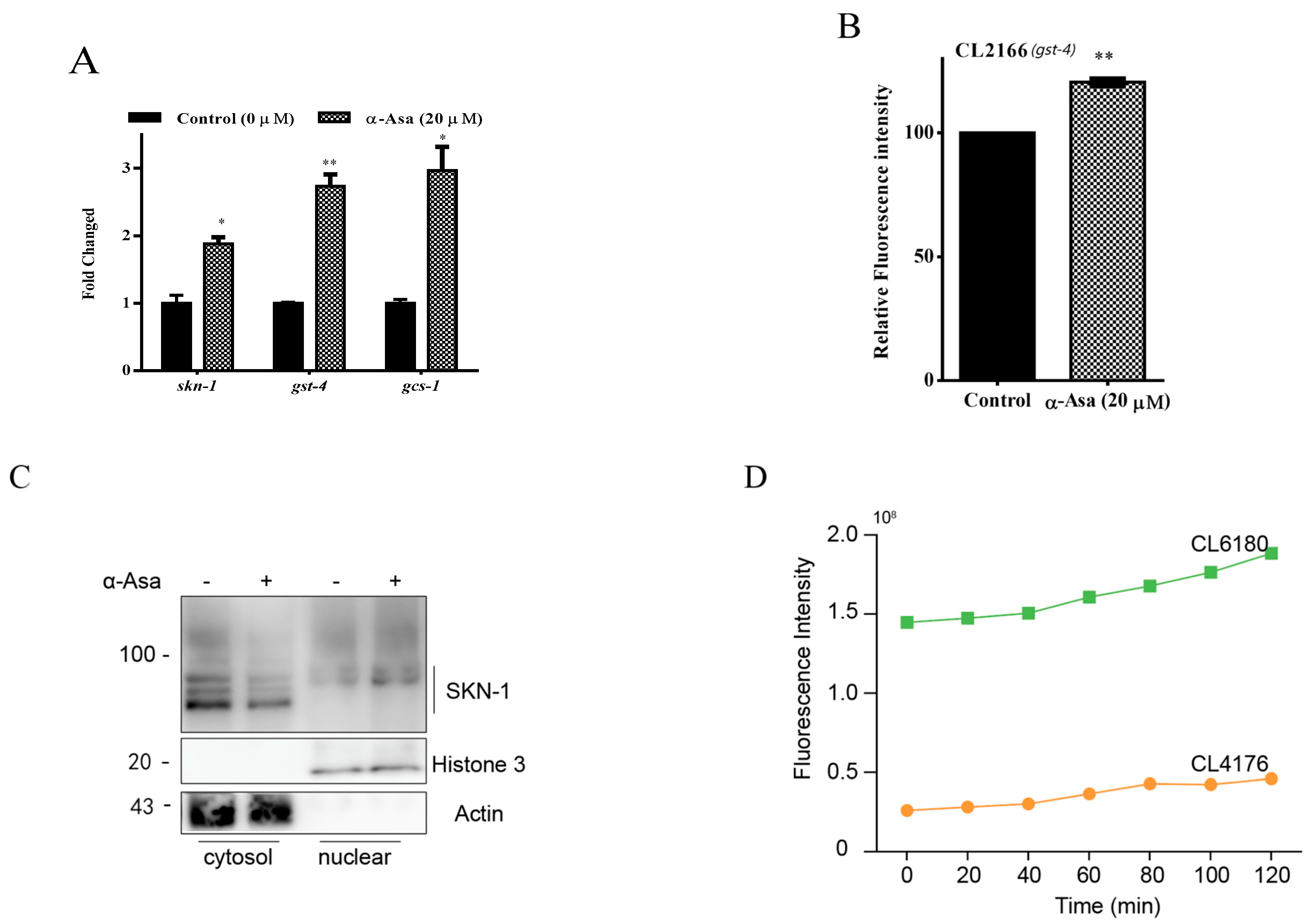 Antioxidants 14 01255 g005a