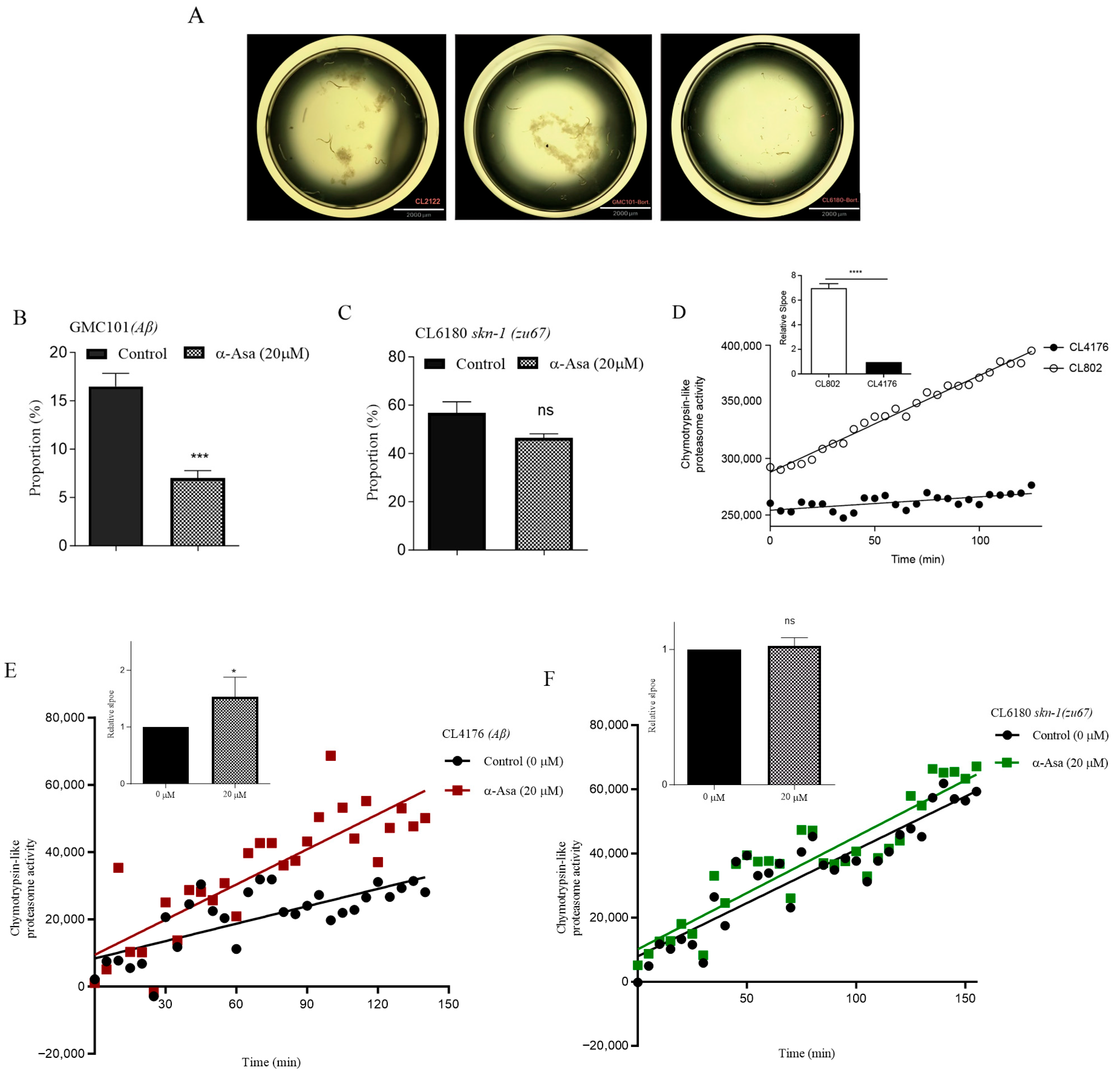Antioxidants 14 01255 g006