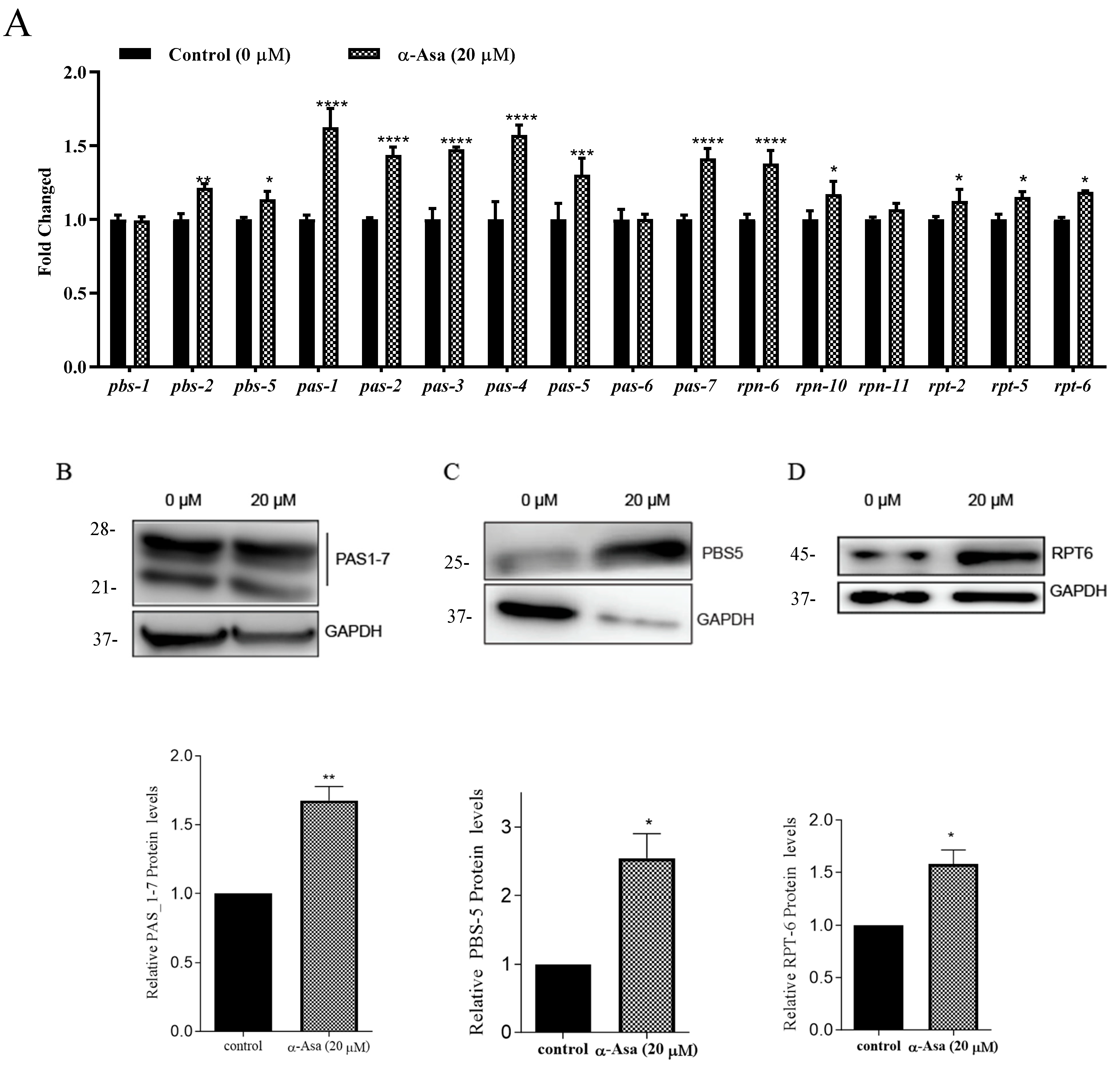 Antioxidants 14 01255 g007