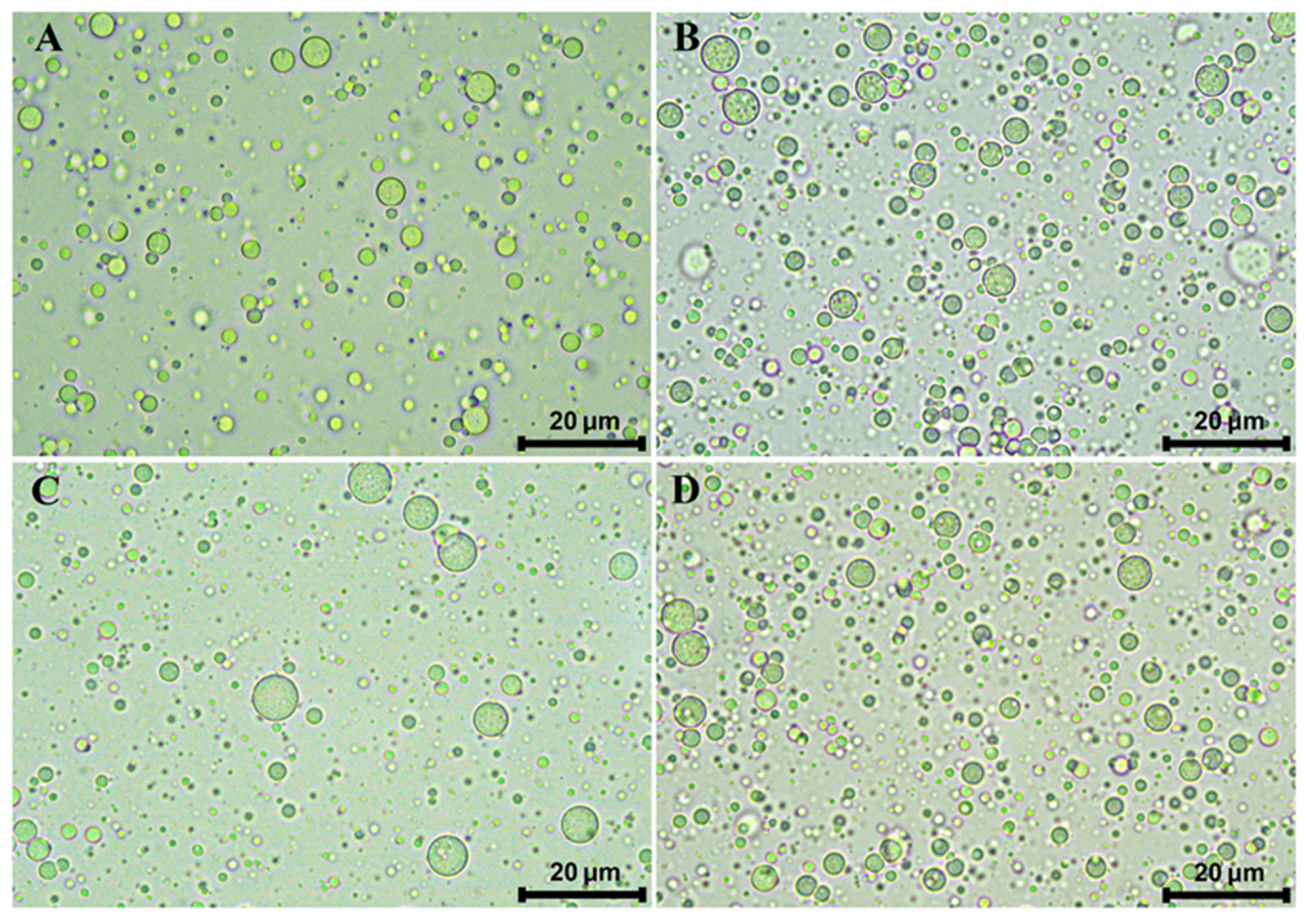 Antioxidants 14 01257 g001 Antioxidants 14 01257 g001