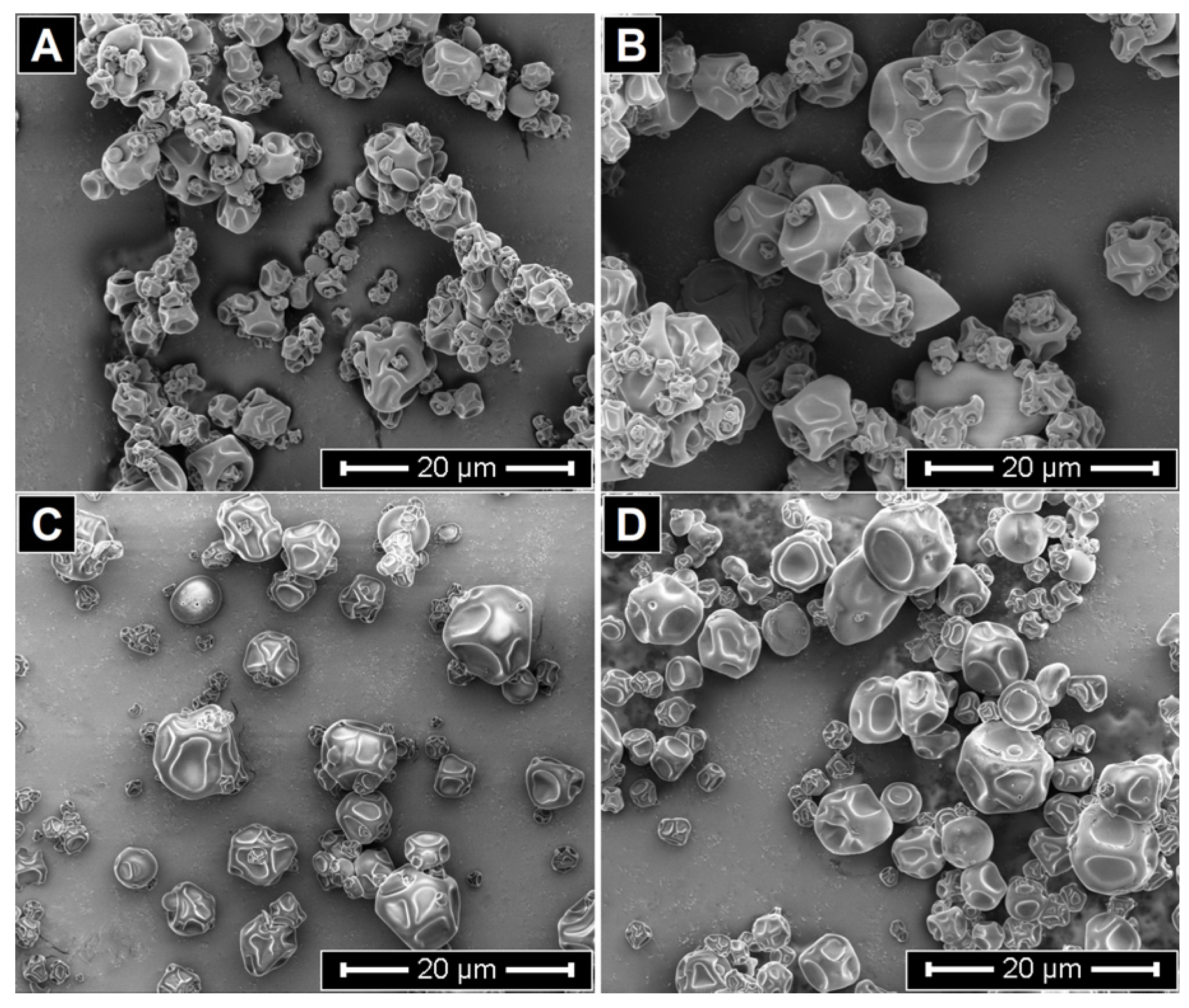 Antioxidants 14 01257 g003 Antioxidants 14 01257 g003