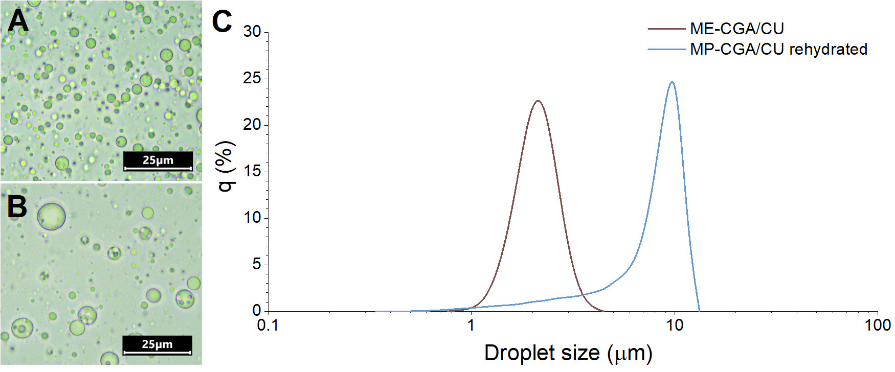 Antioxidants 14 01257 g004 Antioxidants 14 01257 g004