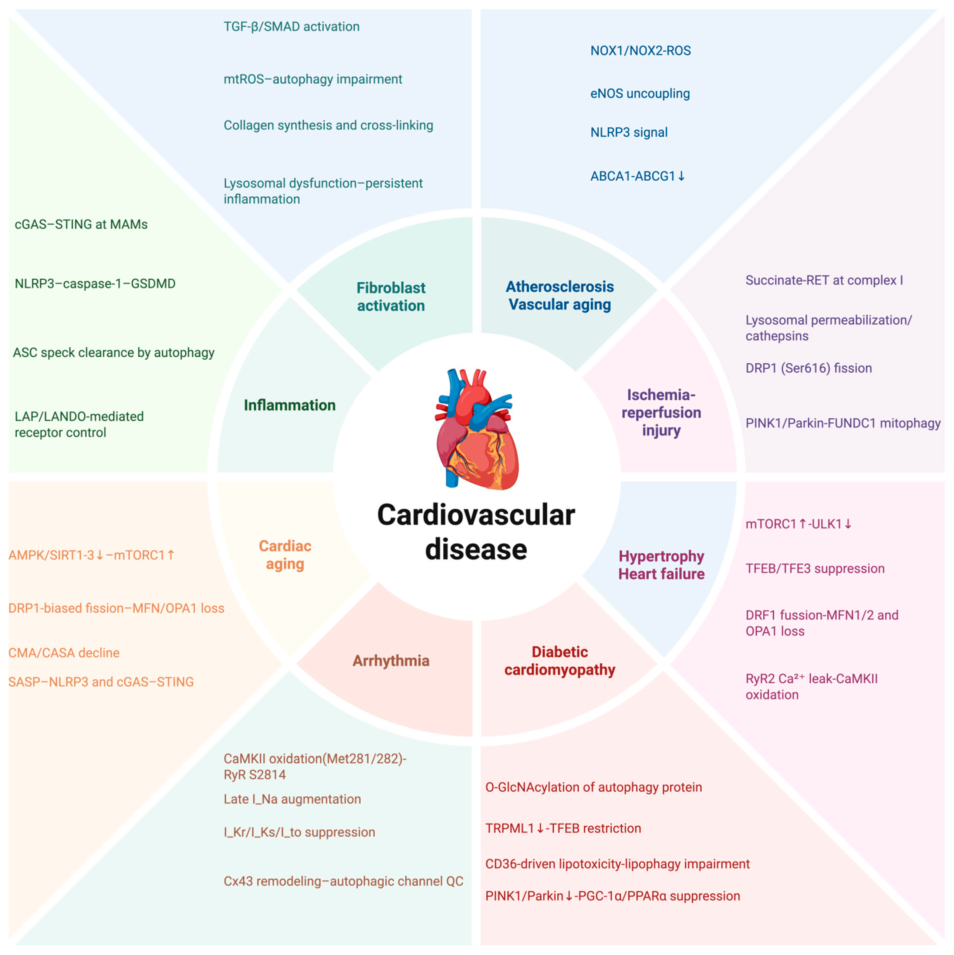 Antioxidants 14 01263 g003