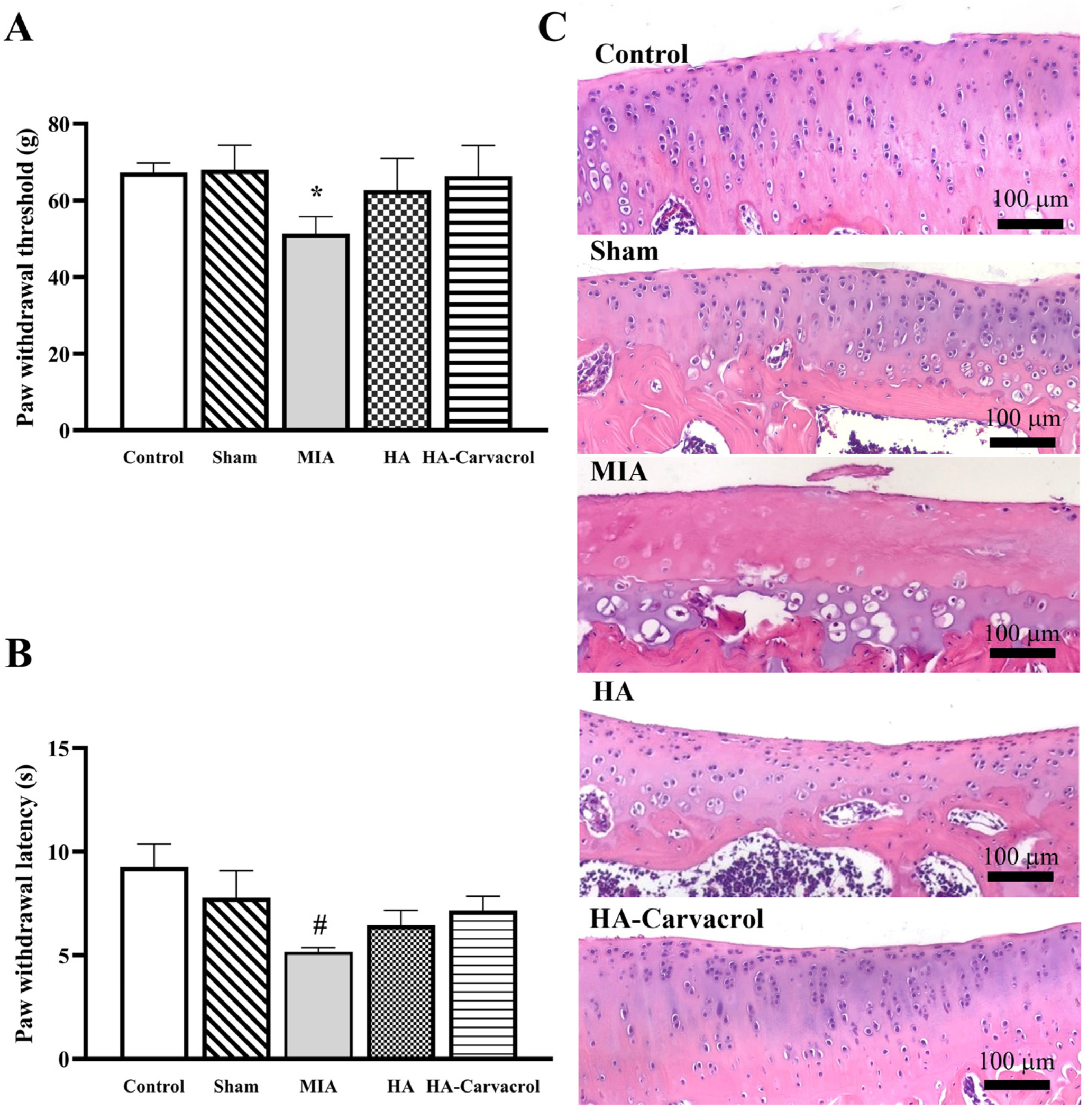Antioxidants 14 01265 g007 Antioxidants 14 01265 g007