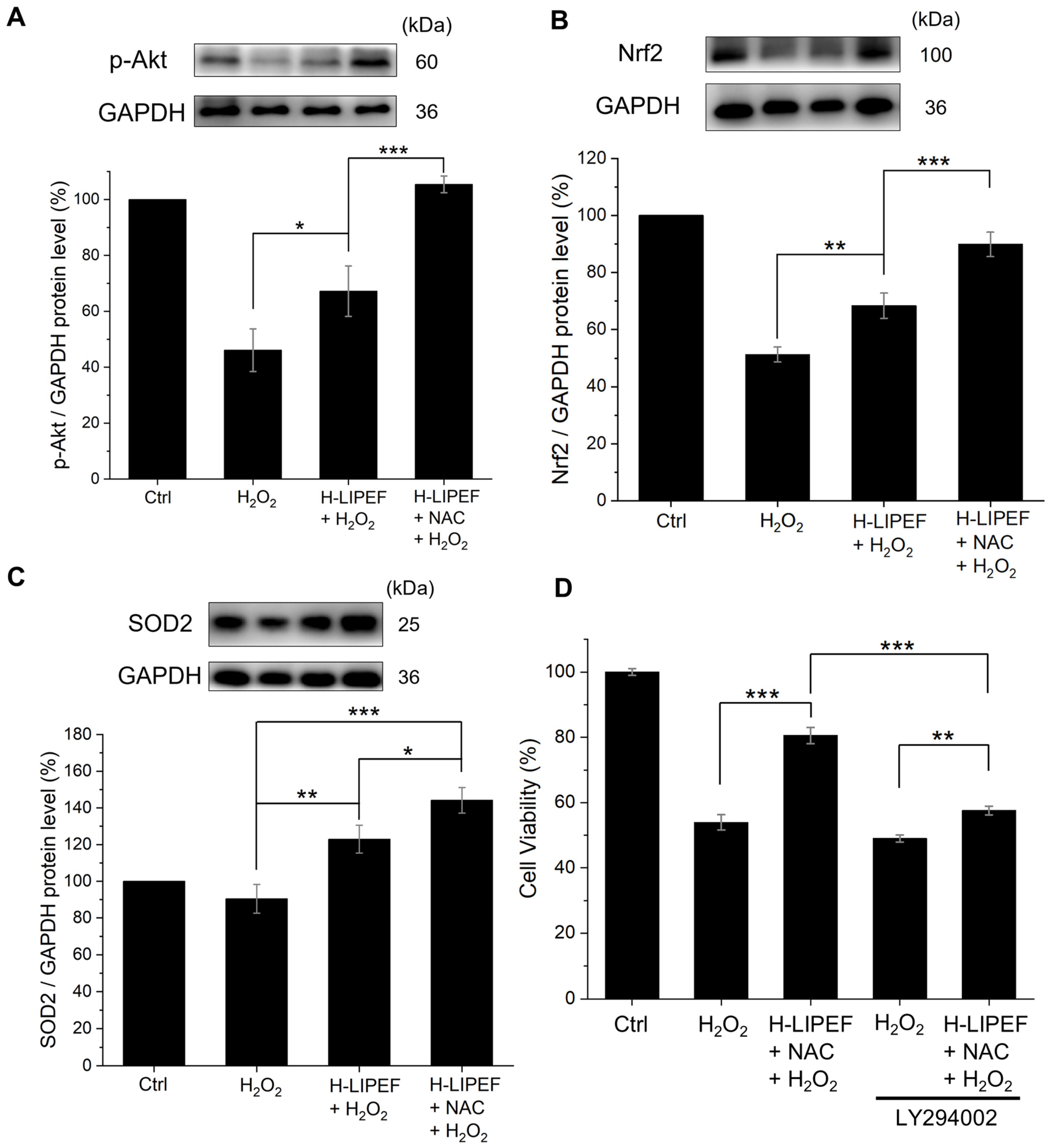 Antioxidants 14 01267 g005