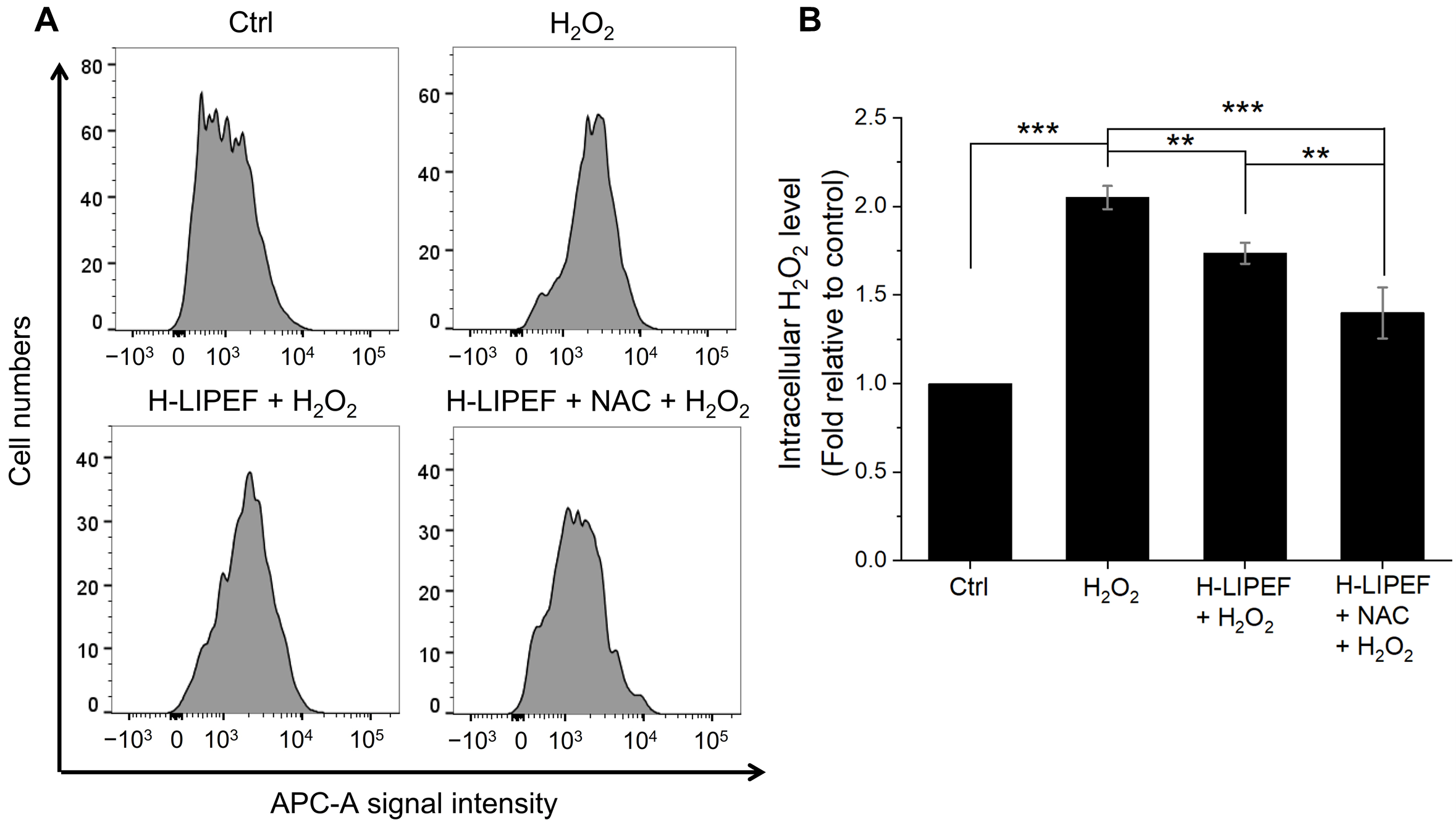 Antioxidants 14 01267 g006