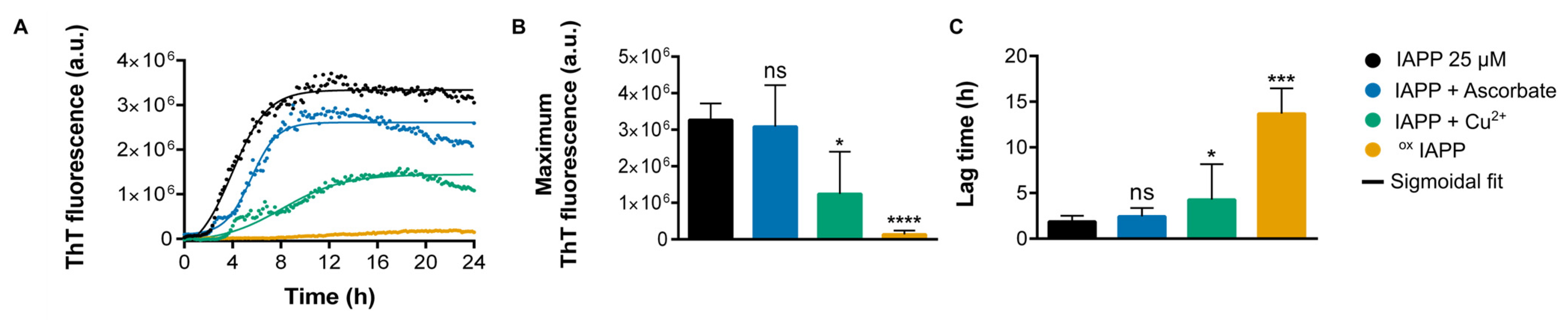 Antioxidants 14 01269 g002 Antioxidants 14 01269 g002