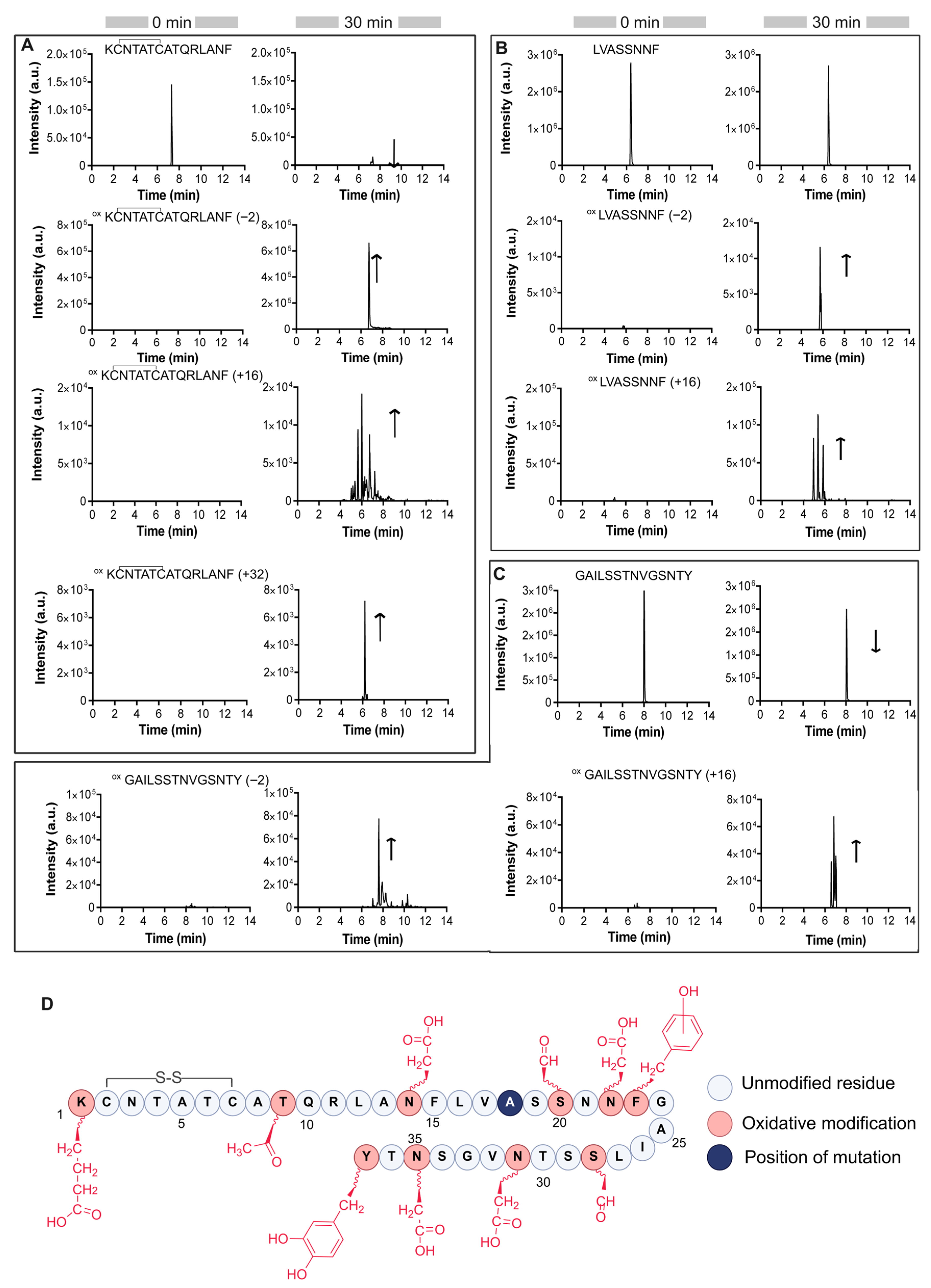 Antioxidants 14 01269 g005 Antioxidants 14 01269 g005