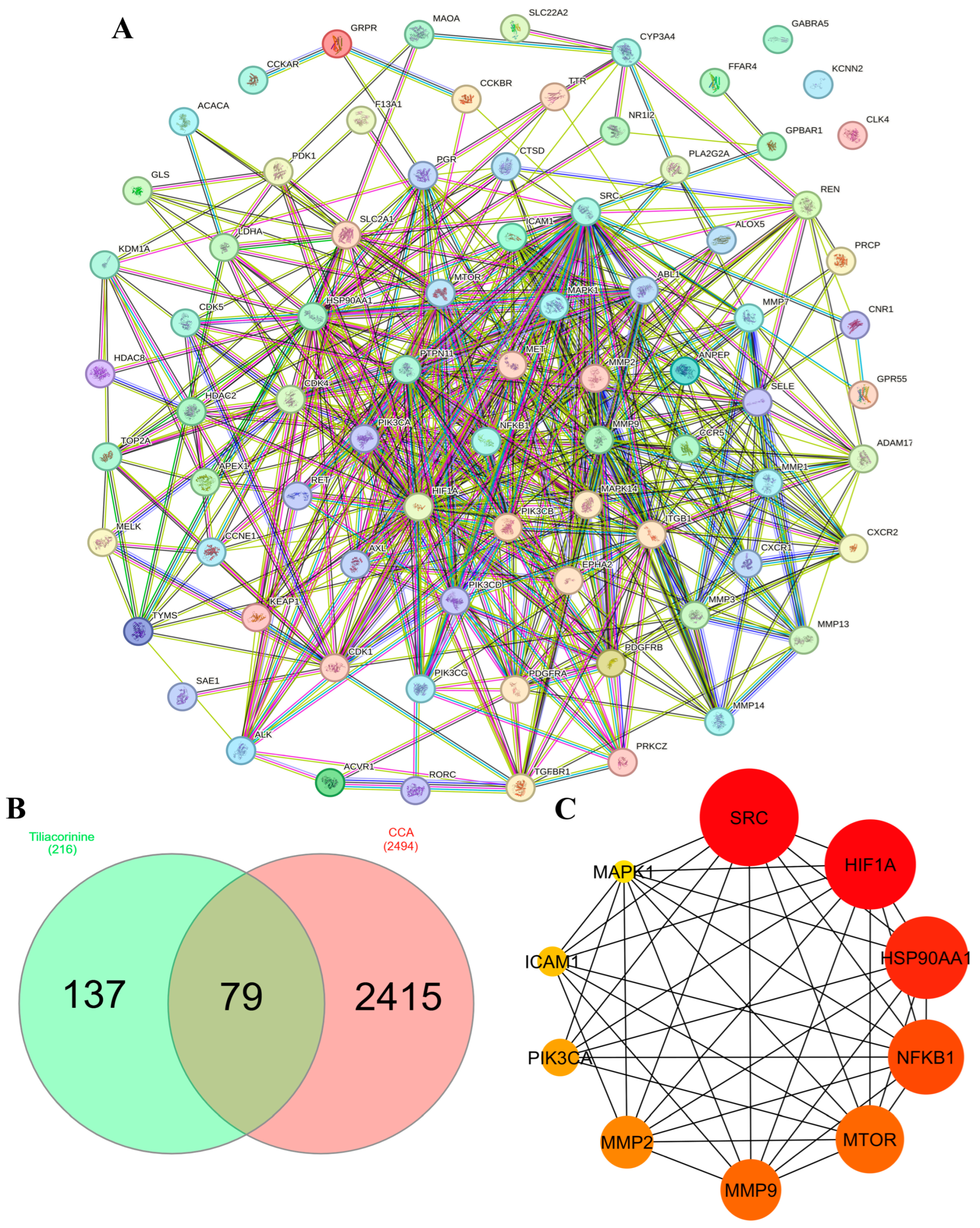 Antioxidants 14 01273 g002 Antioxidants 14 01273 g002
