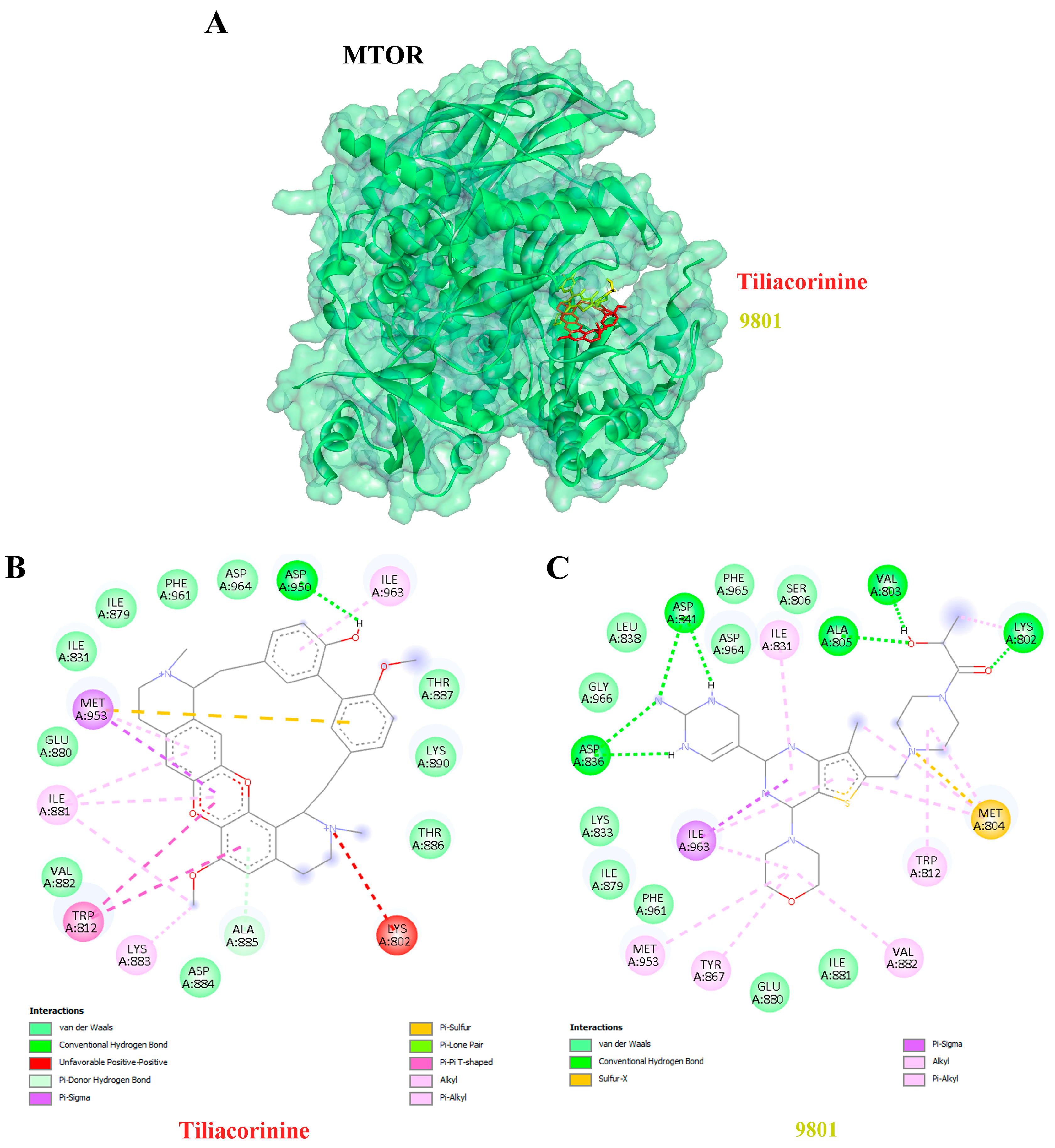 Antioxidants 14 01273 g004 Antioxidants 14 01273 g004