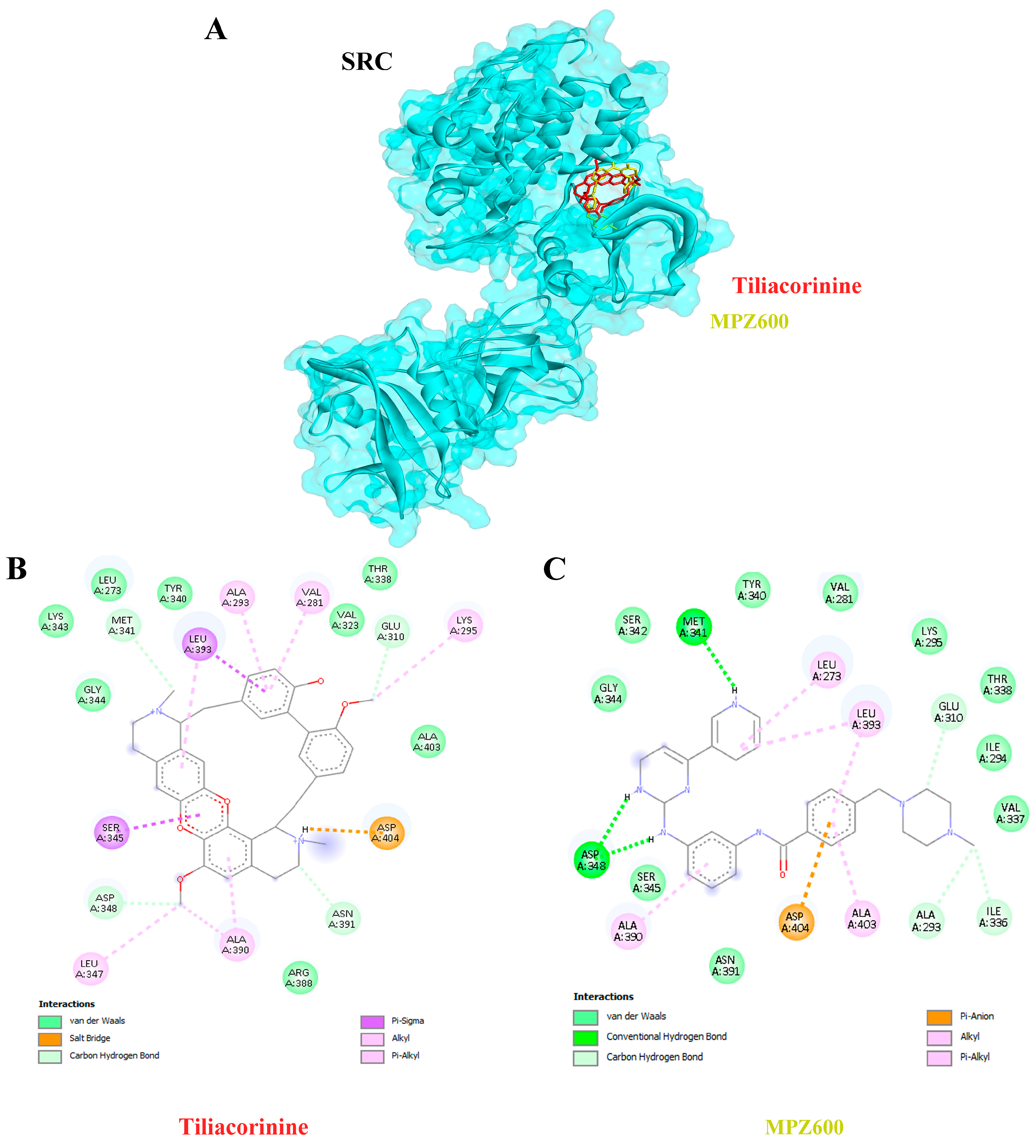 Antioxidants 14 01273 g005 Antioxidants 14 01273 g005
