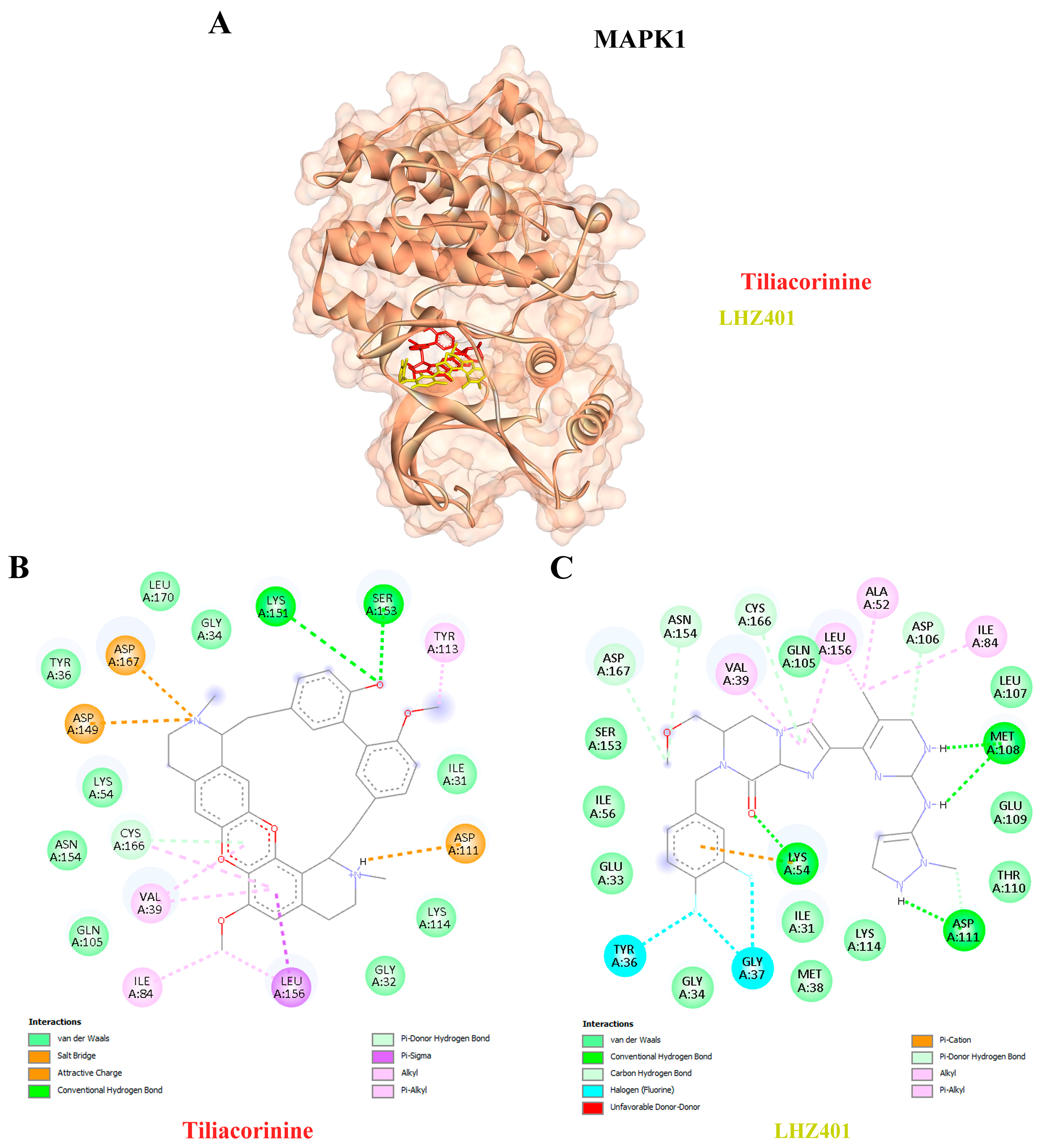 Antioxidants 14 01273 g007 Antioxidants 14 01273 g007