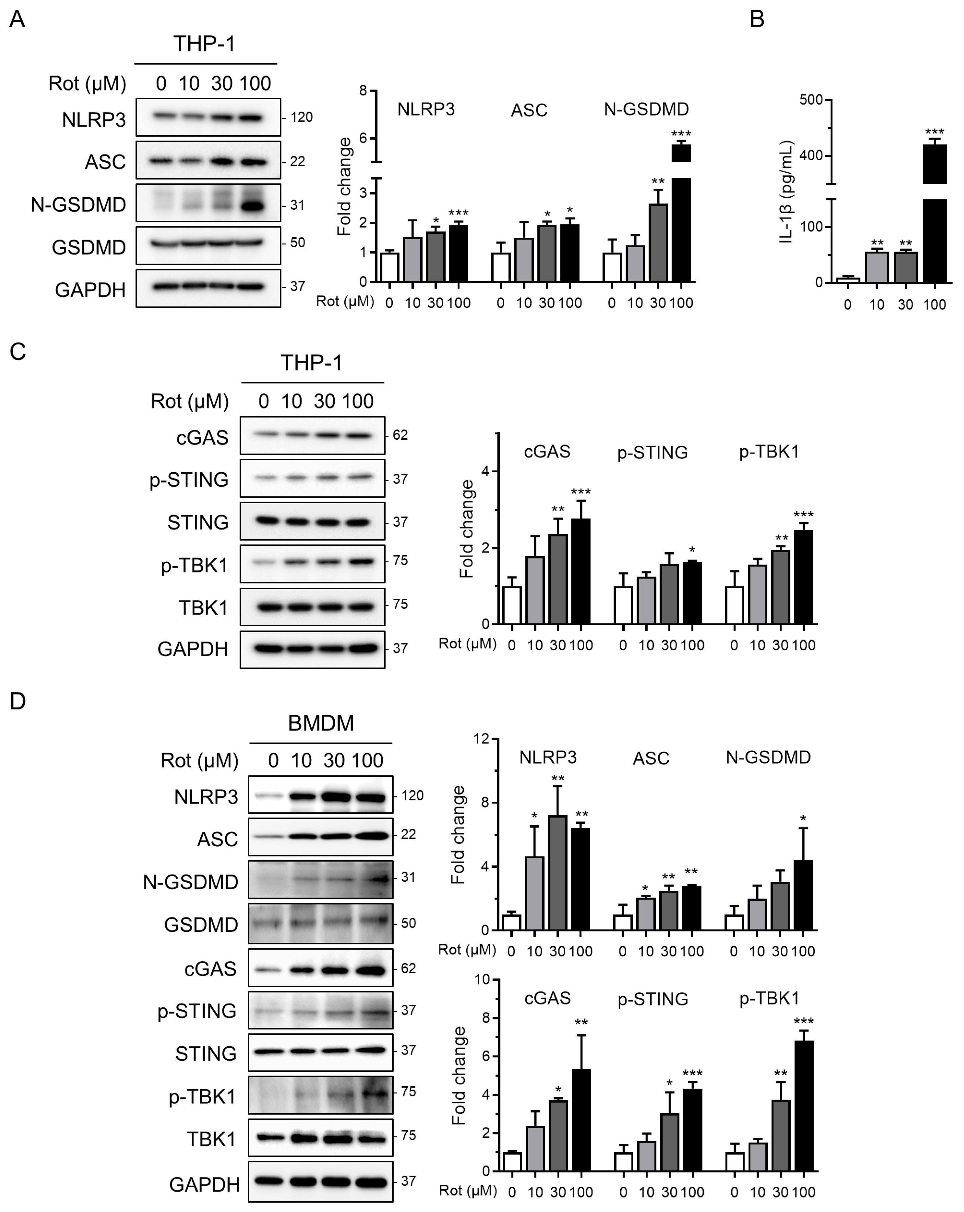 Antioxidants 14 01276 g001