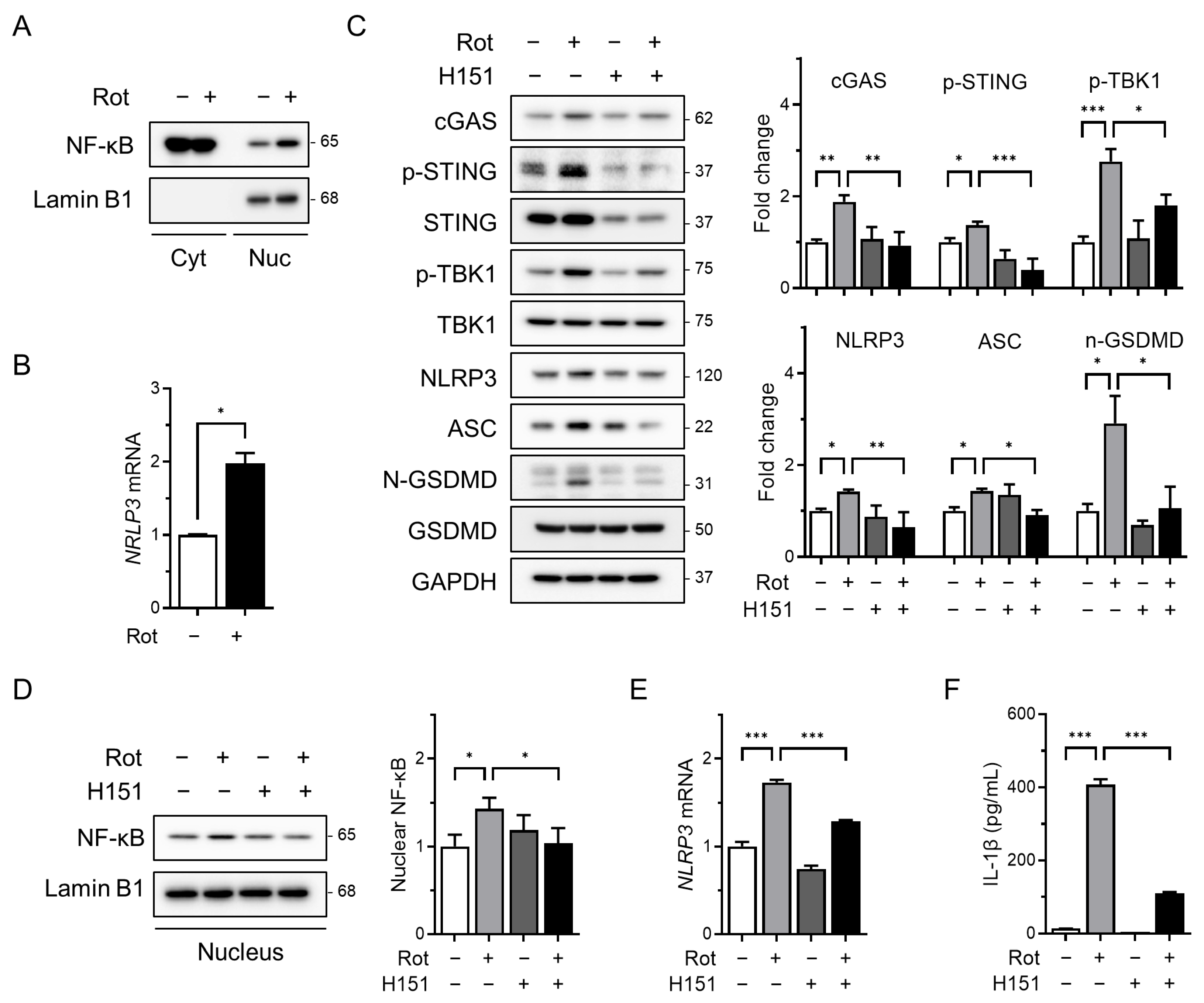Antioxidants 14 01276 g002