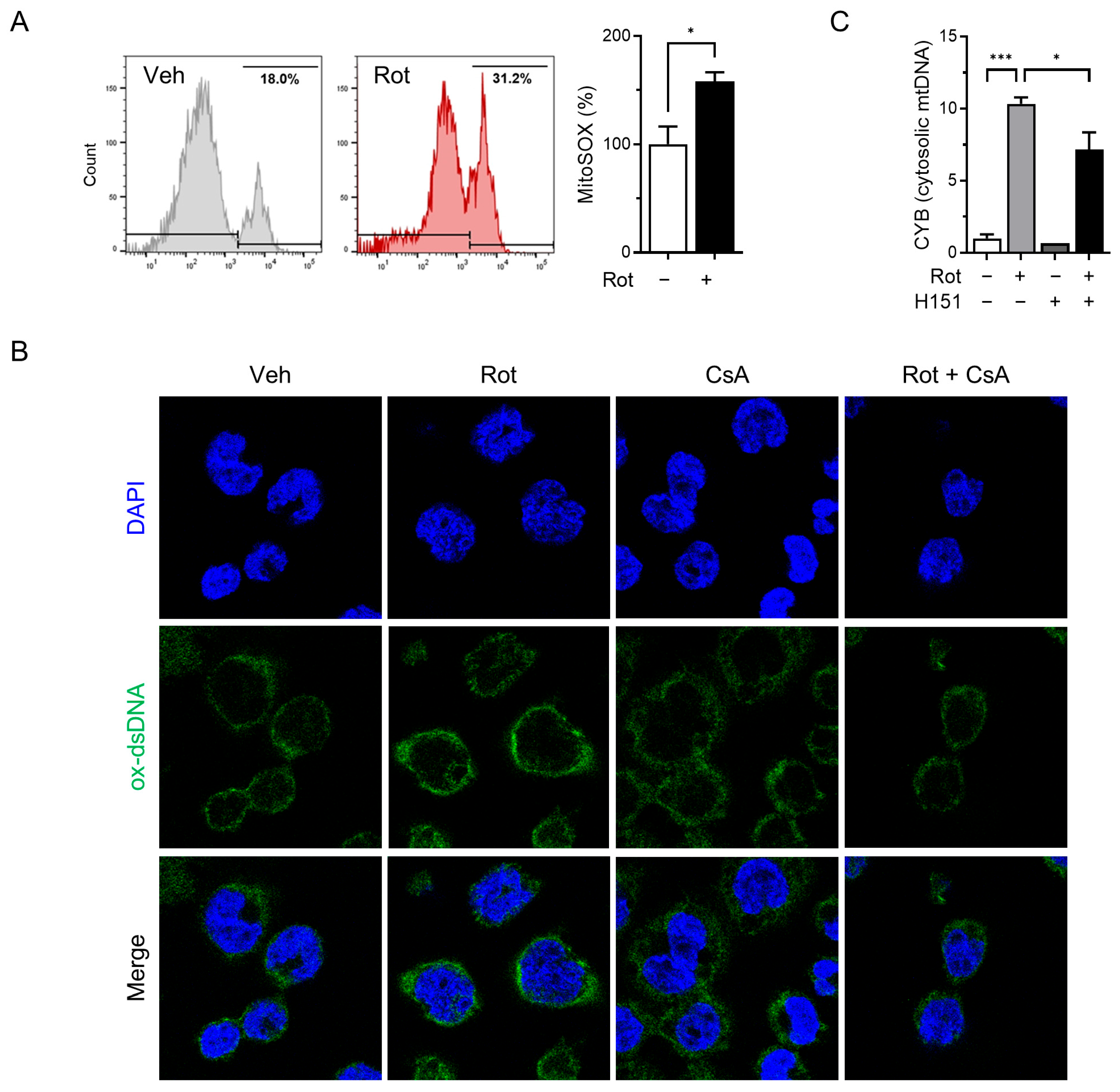 Antioxidants 14 01276 g003