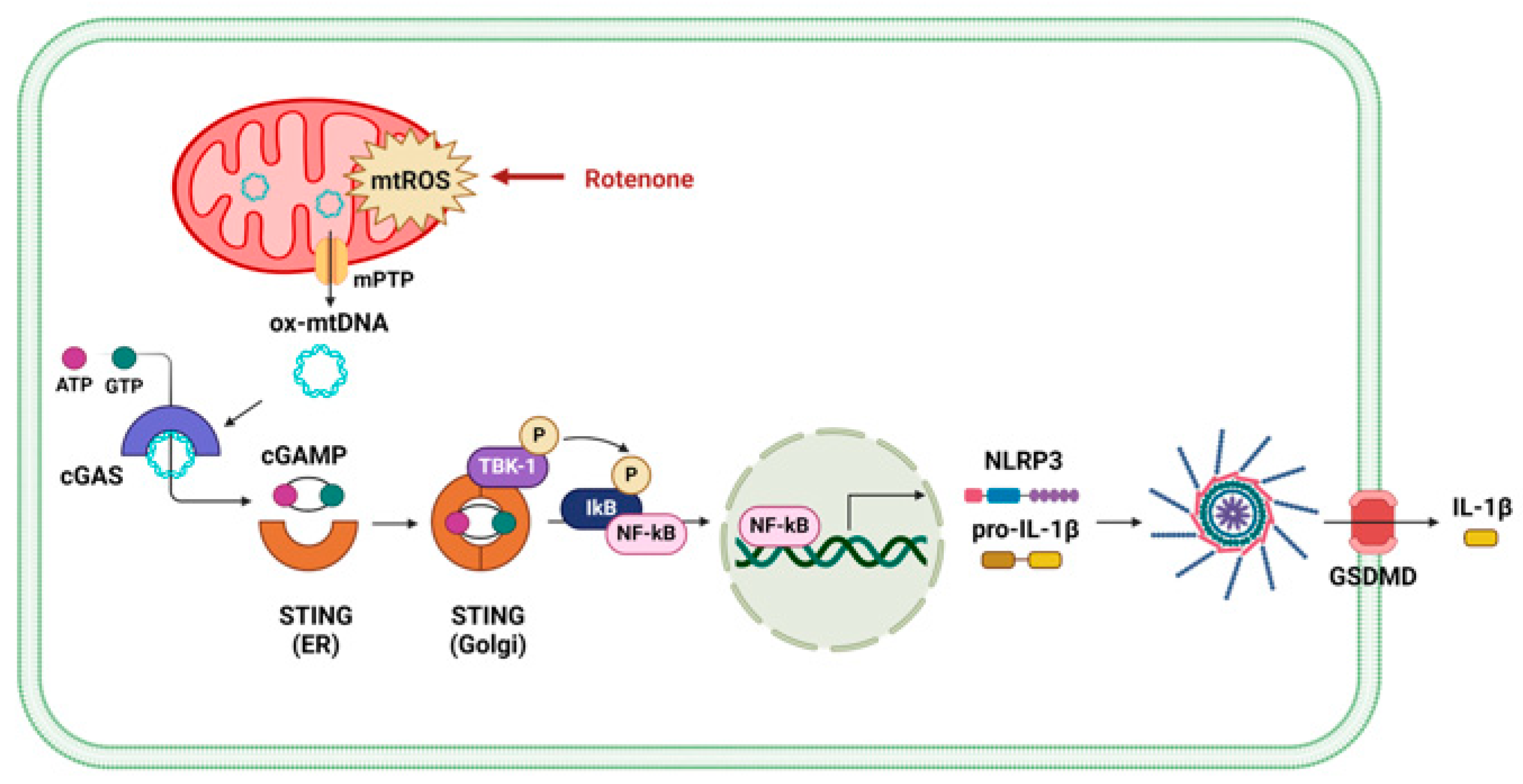 Antioxidants 14 01276 g005