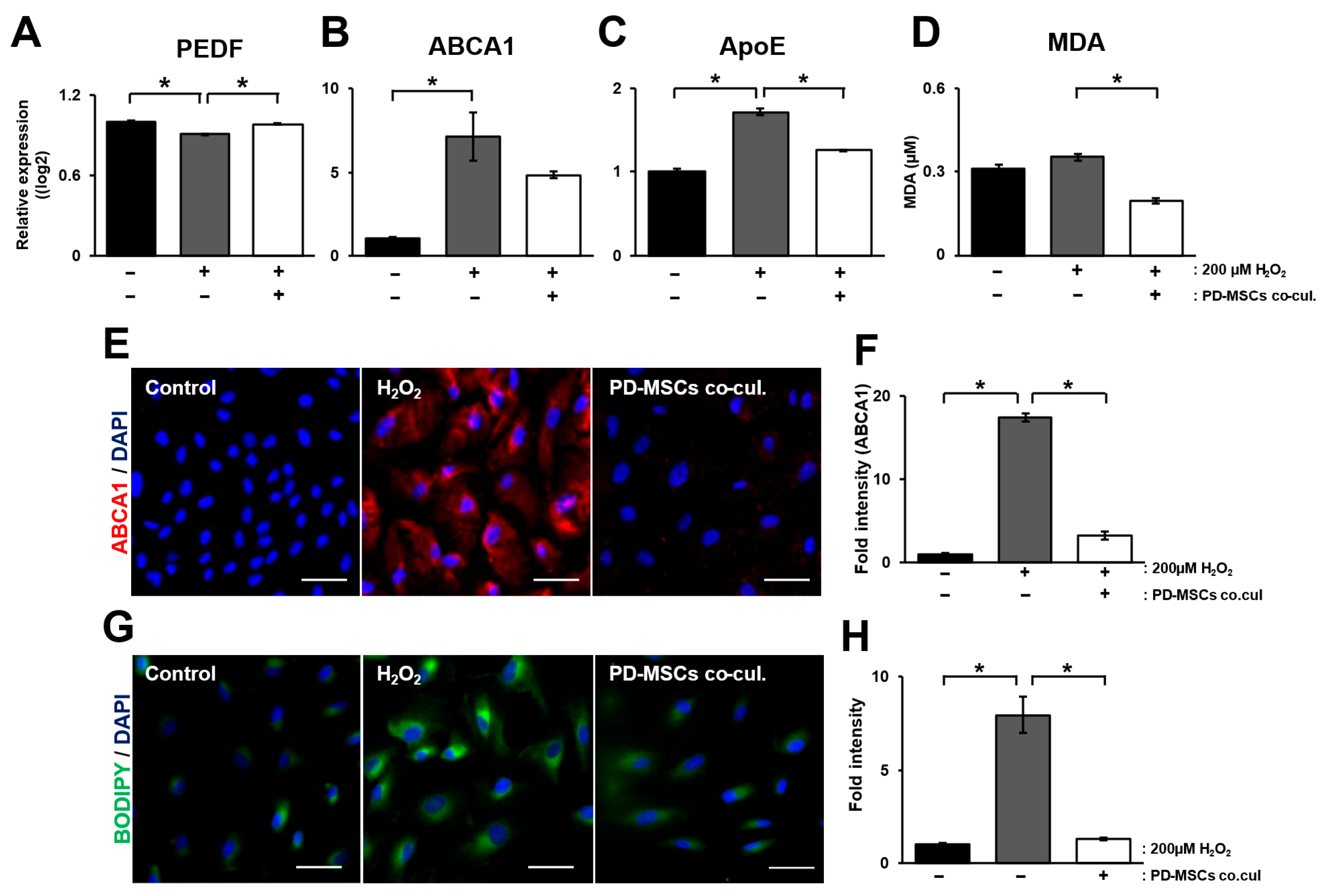 Antioxidants 14 01279 g001