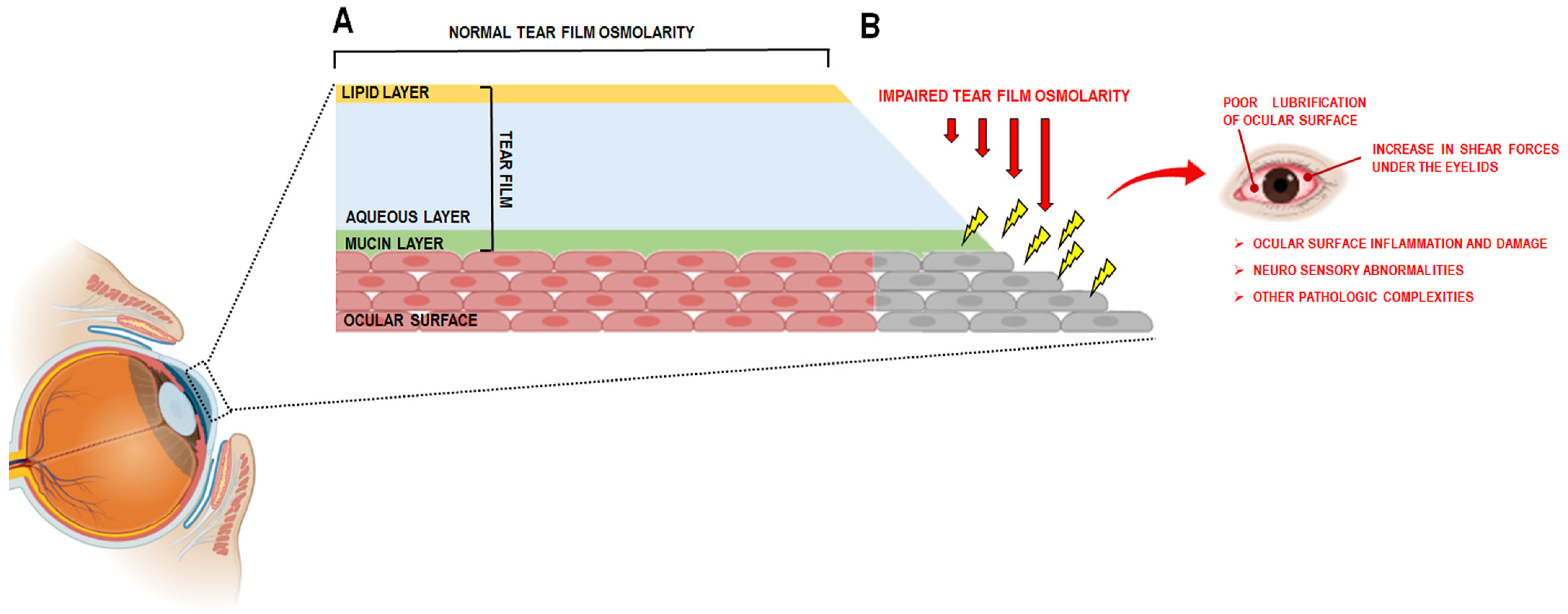 Antioxidants 14 01280 g001
