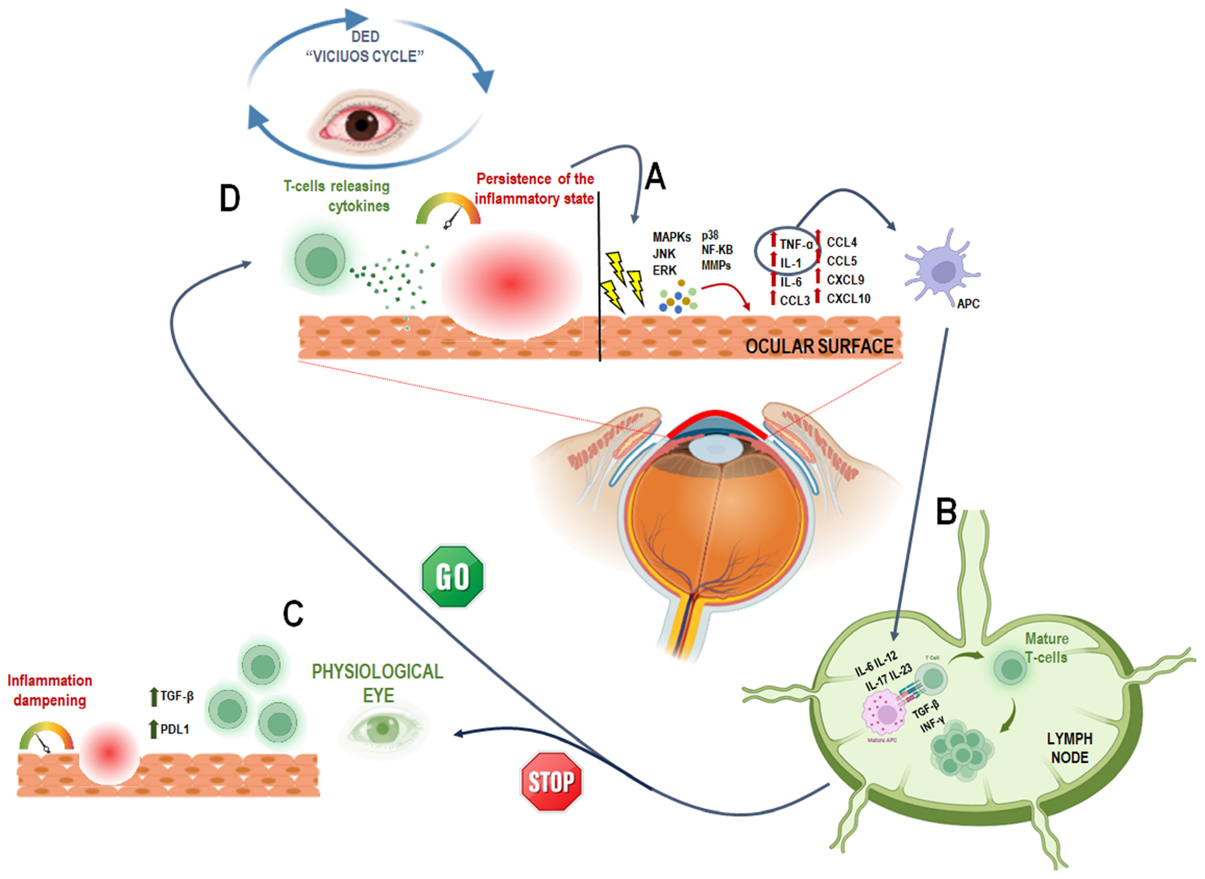 Antioxidants 14 01280 g002