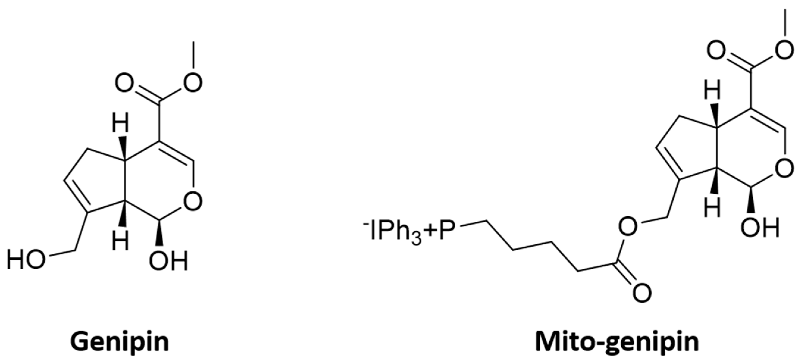 Antioxidants 14 01281 g001