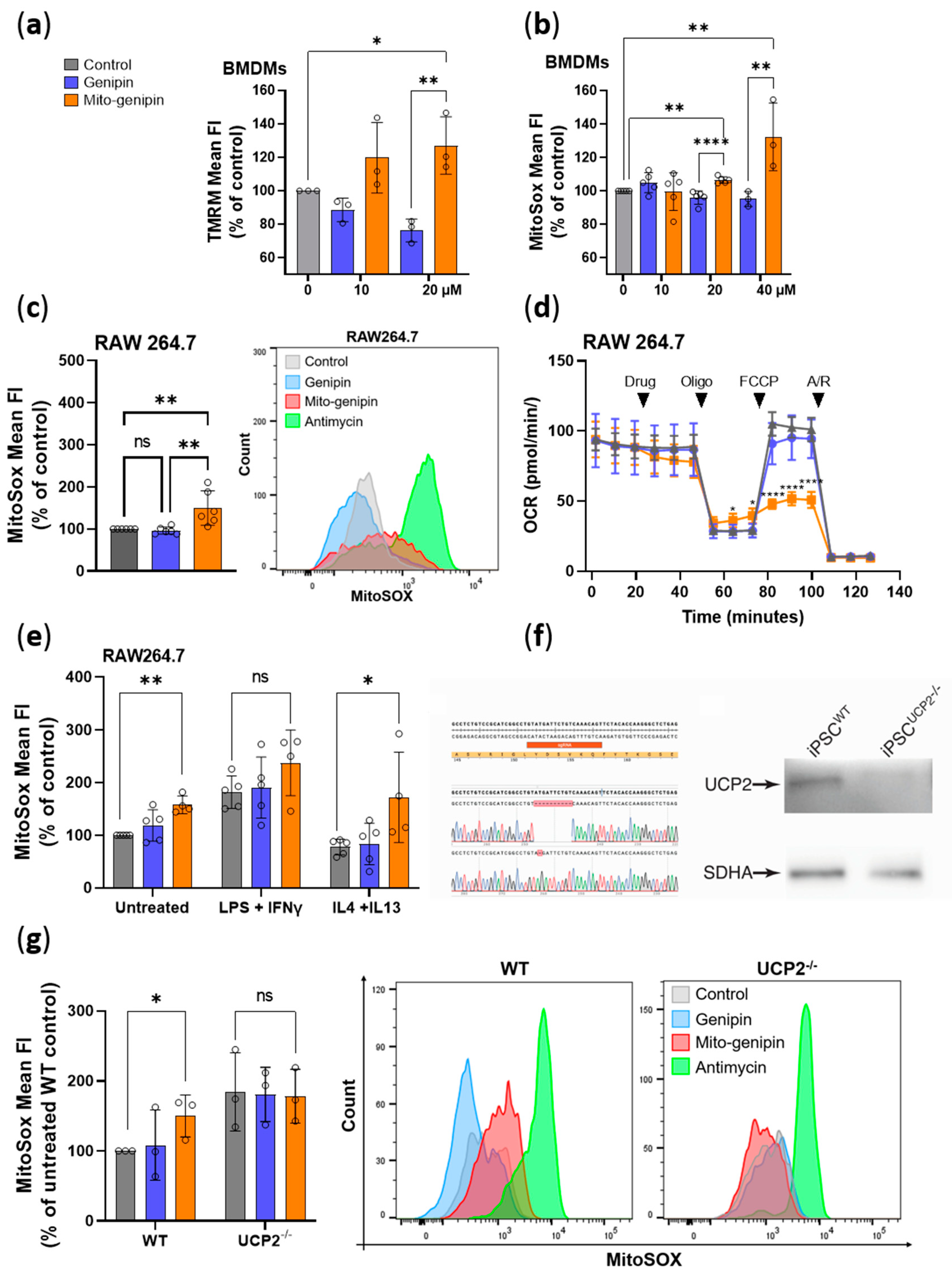 Antioxidants 14 01281 g004
