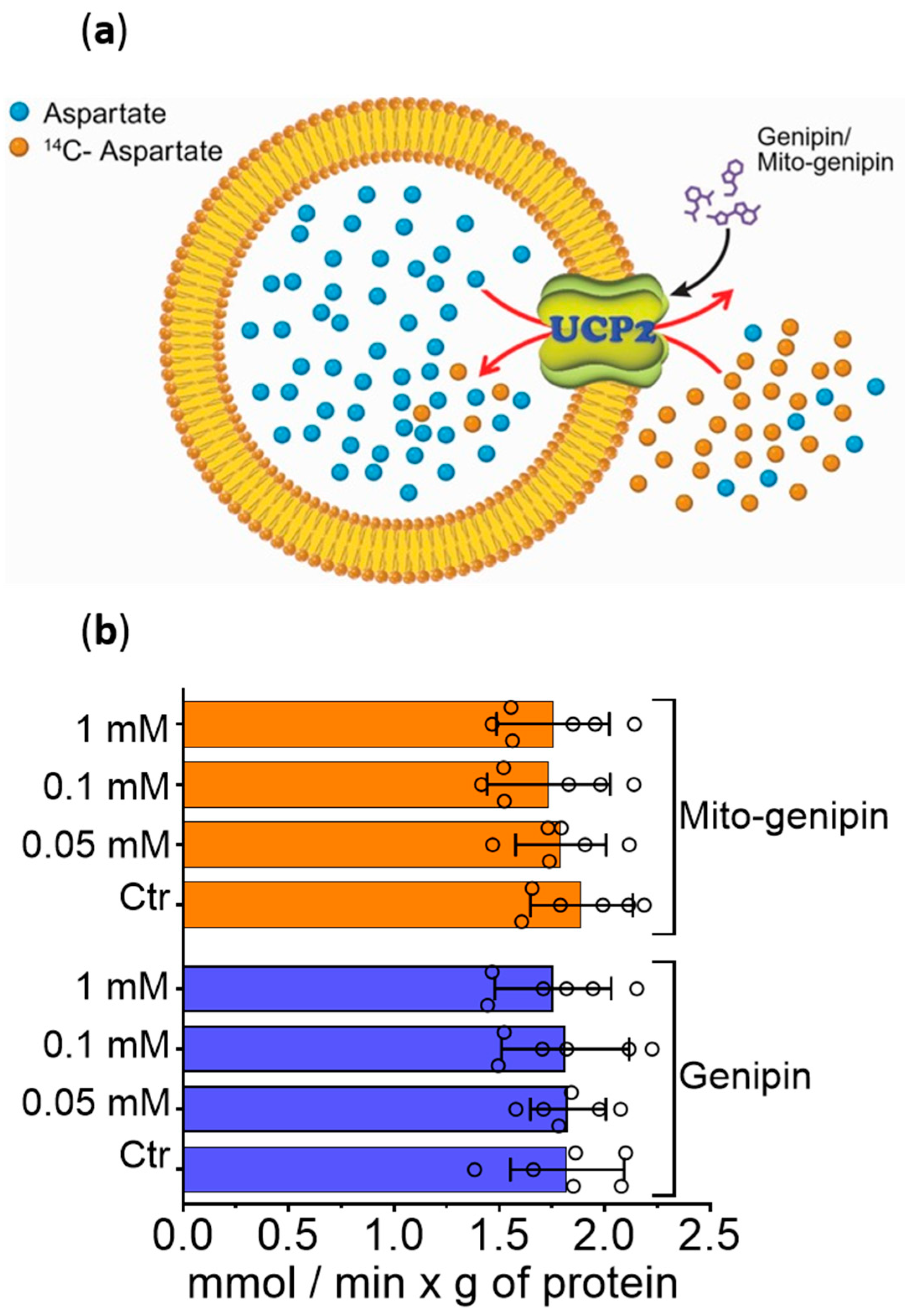 Antioxidants 14 01281 g006