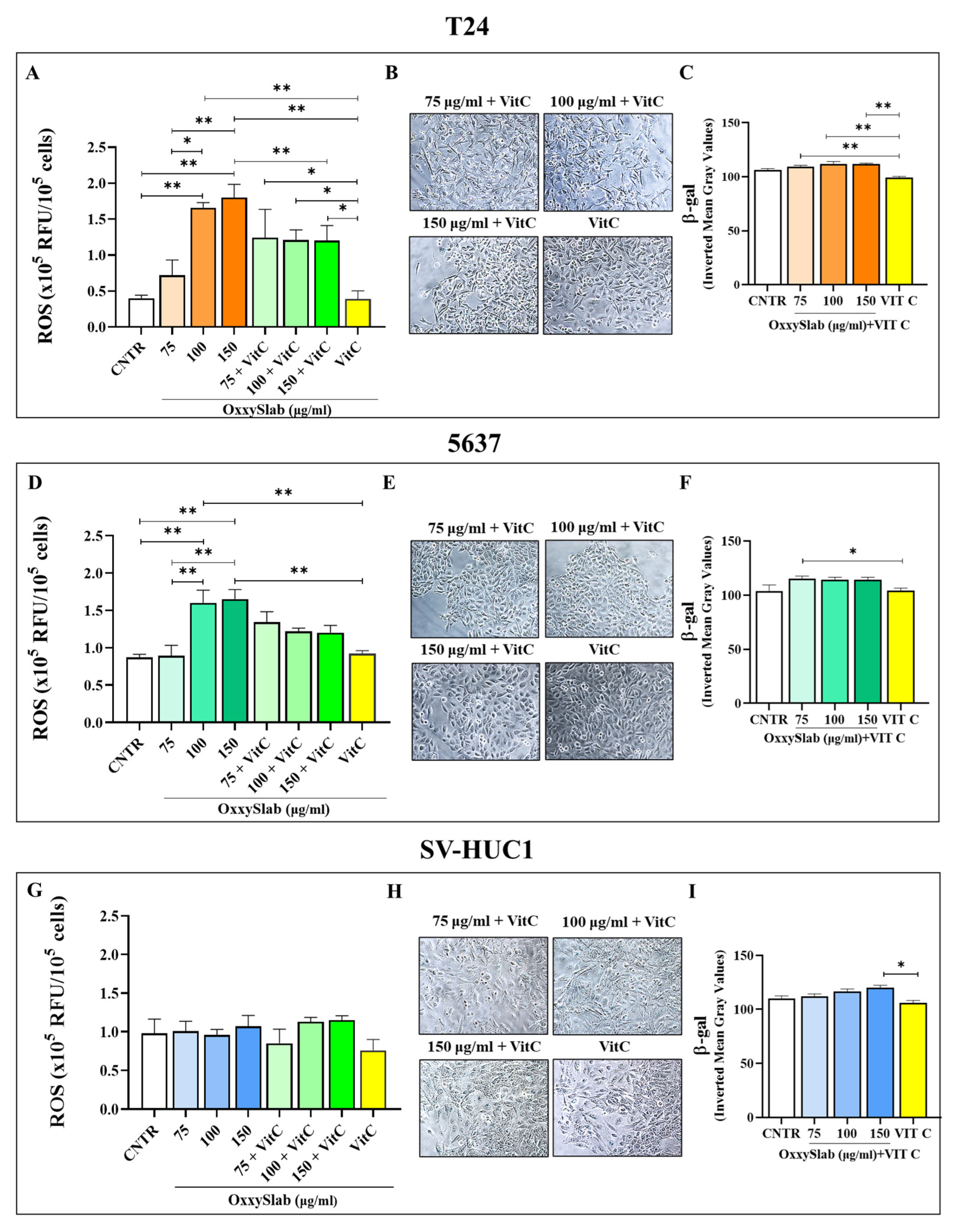 Antioxidants 14 01282 g006