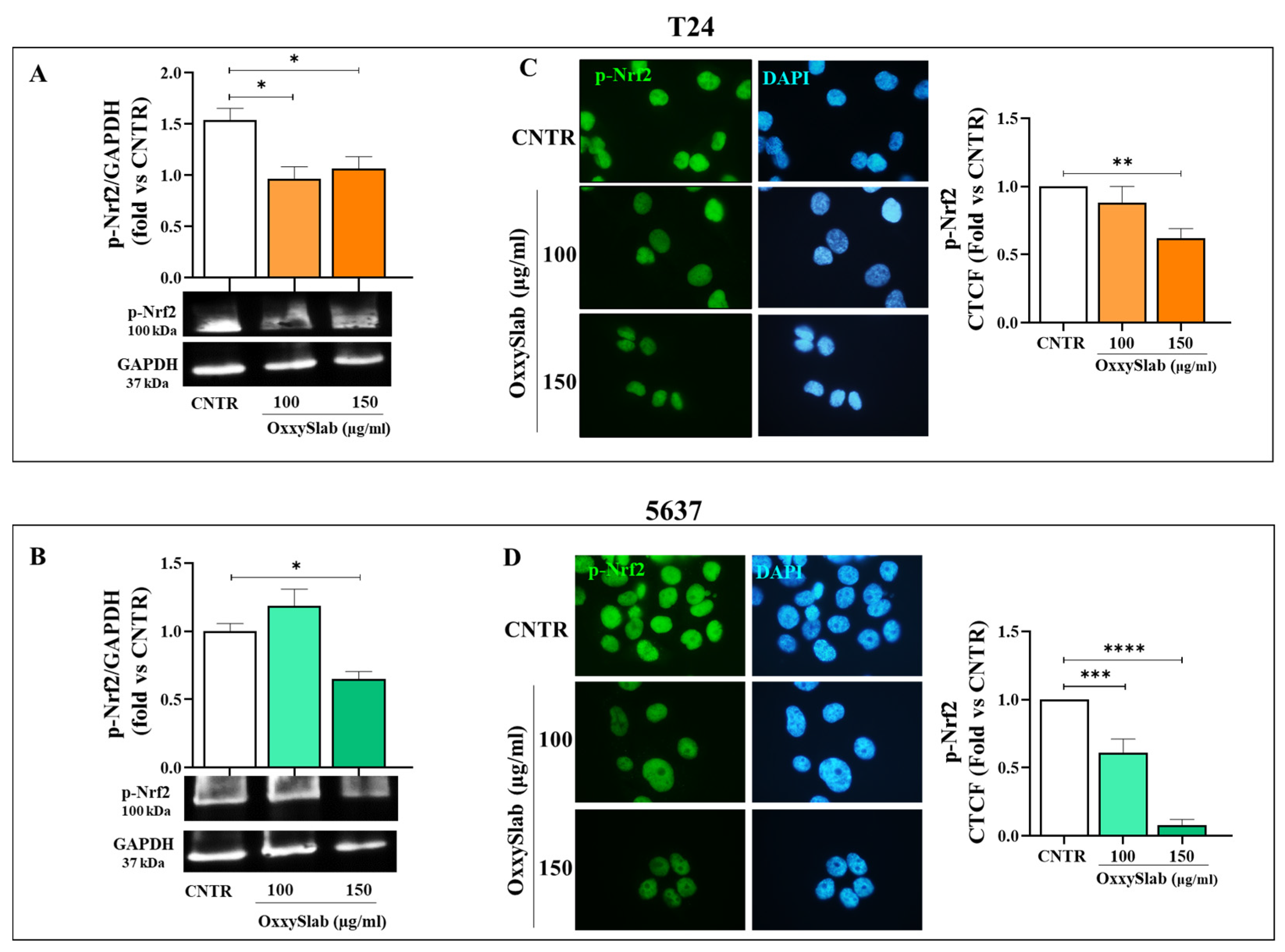 Antioxidants 14 01282 g007a