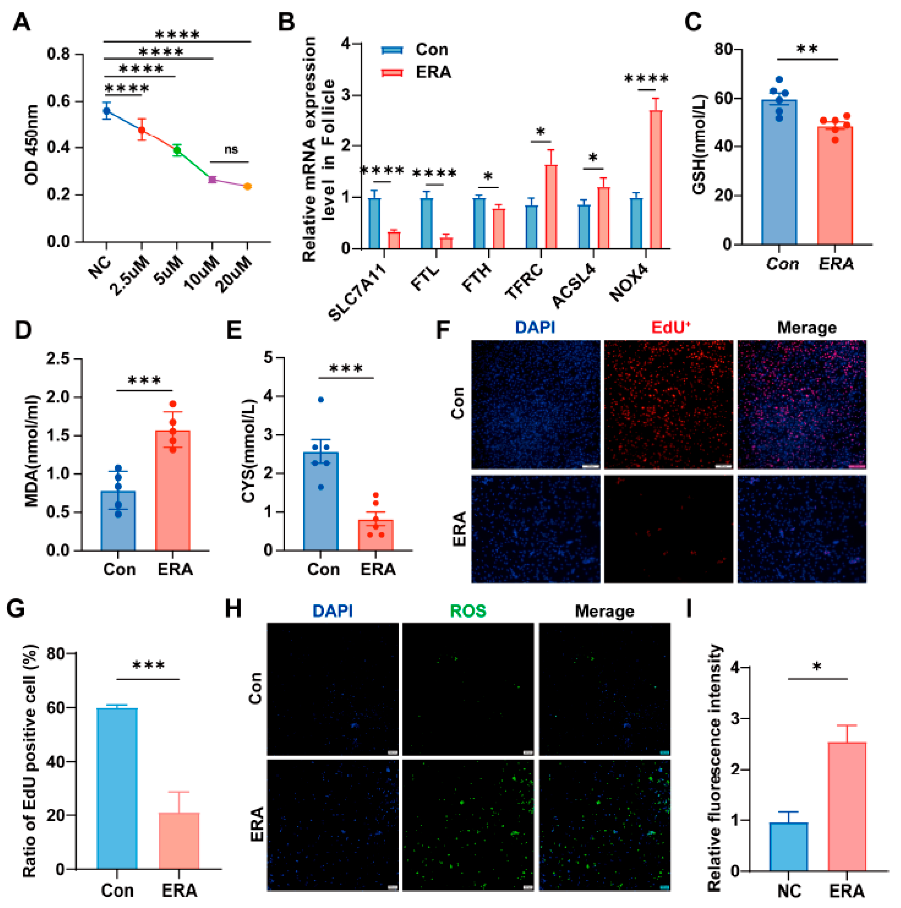 Antioxidants 14 01283 g001