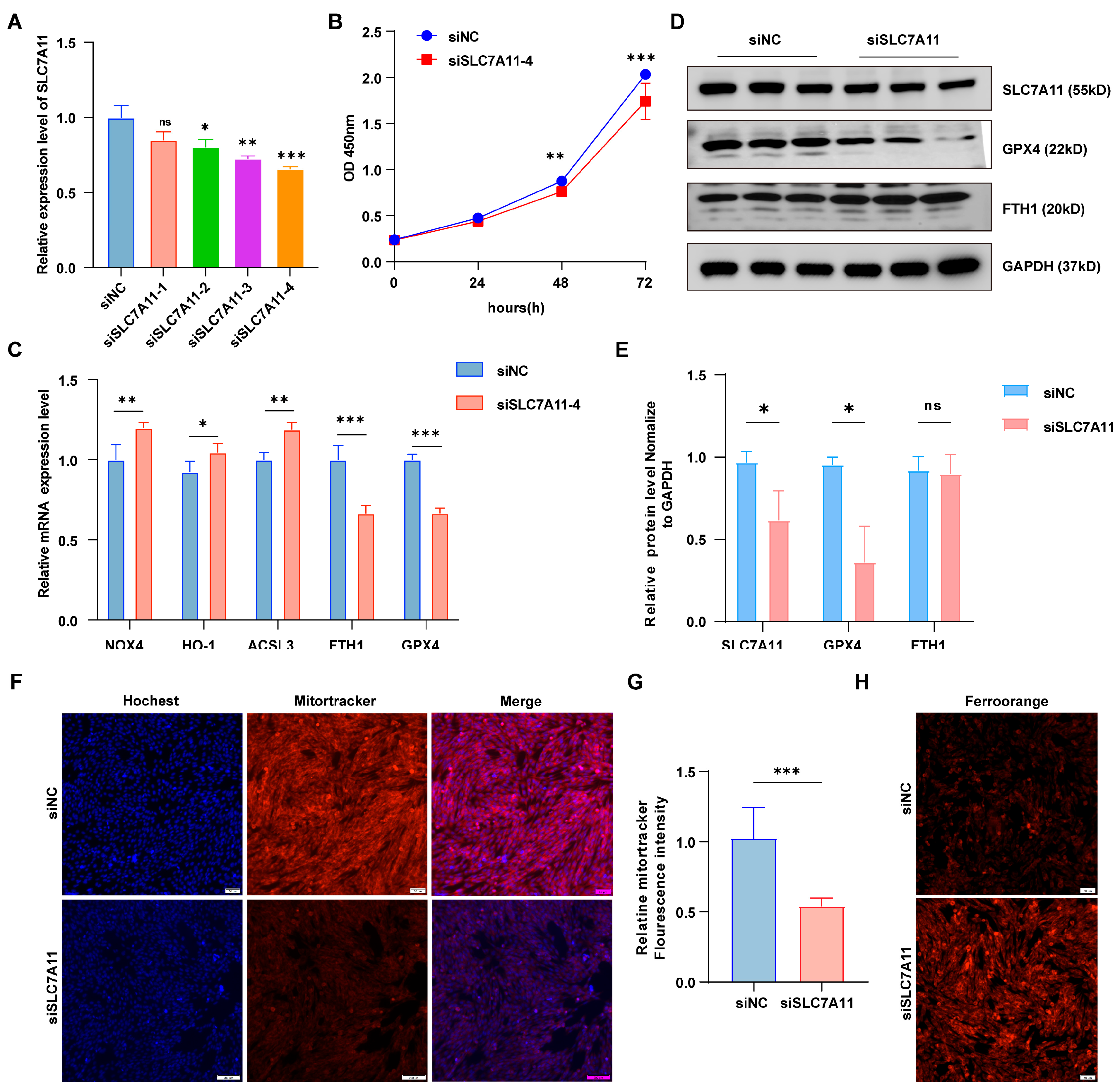 Antioxidants 14 01283 g005