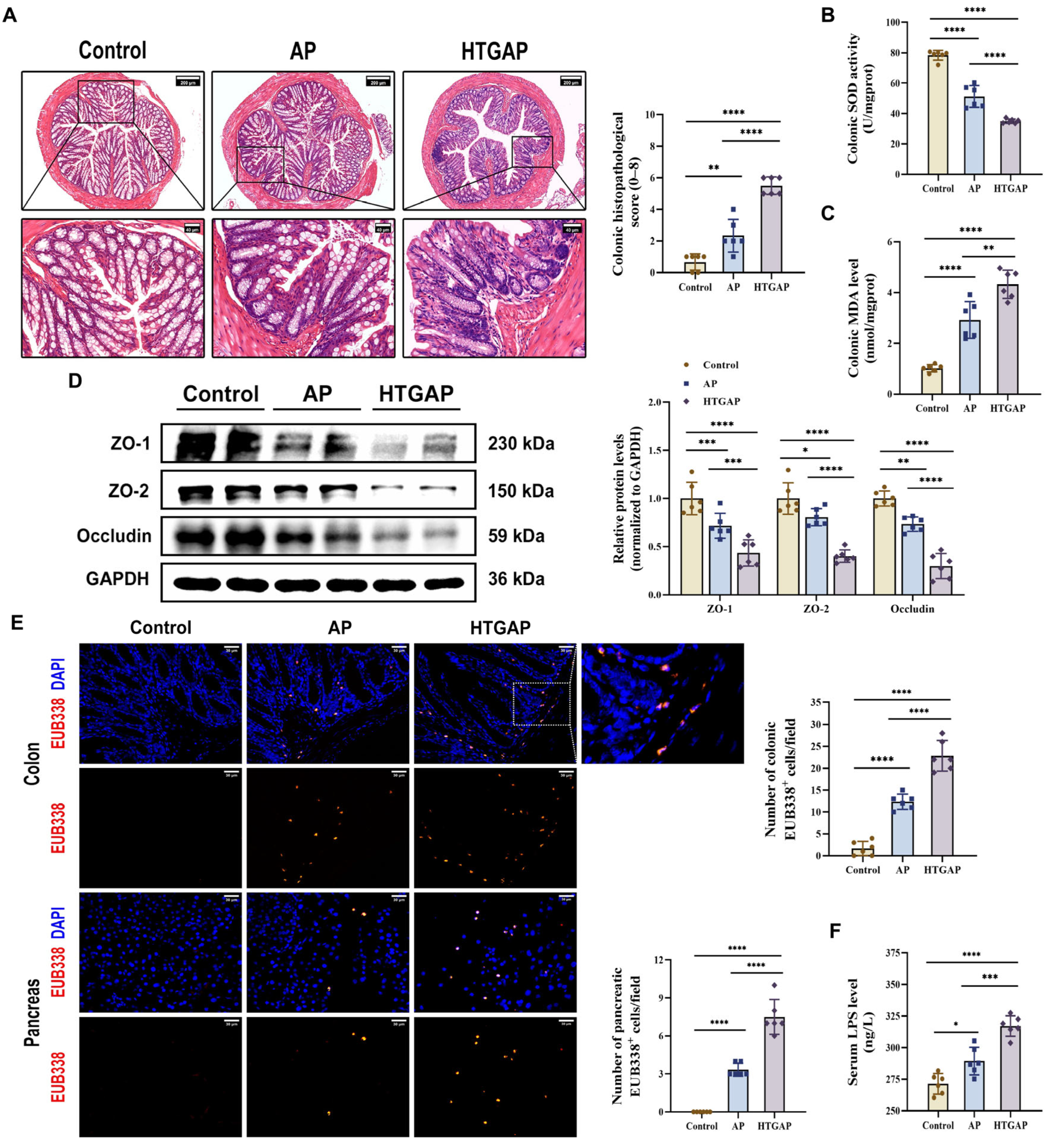 Antioxidants 14 01284 g002