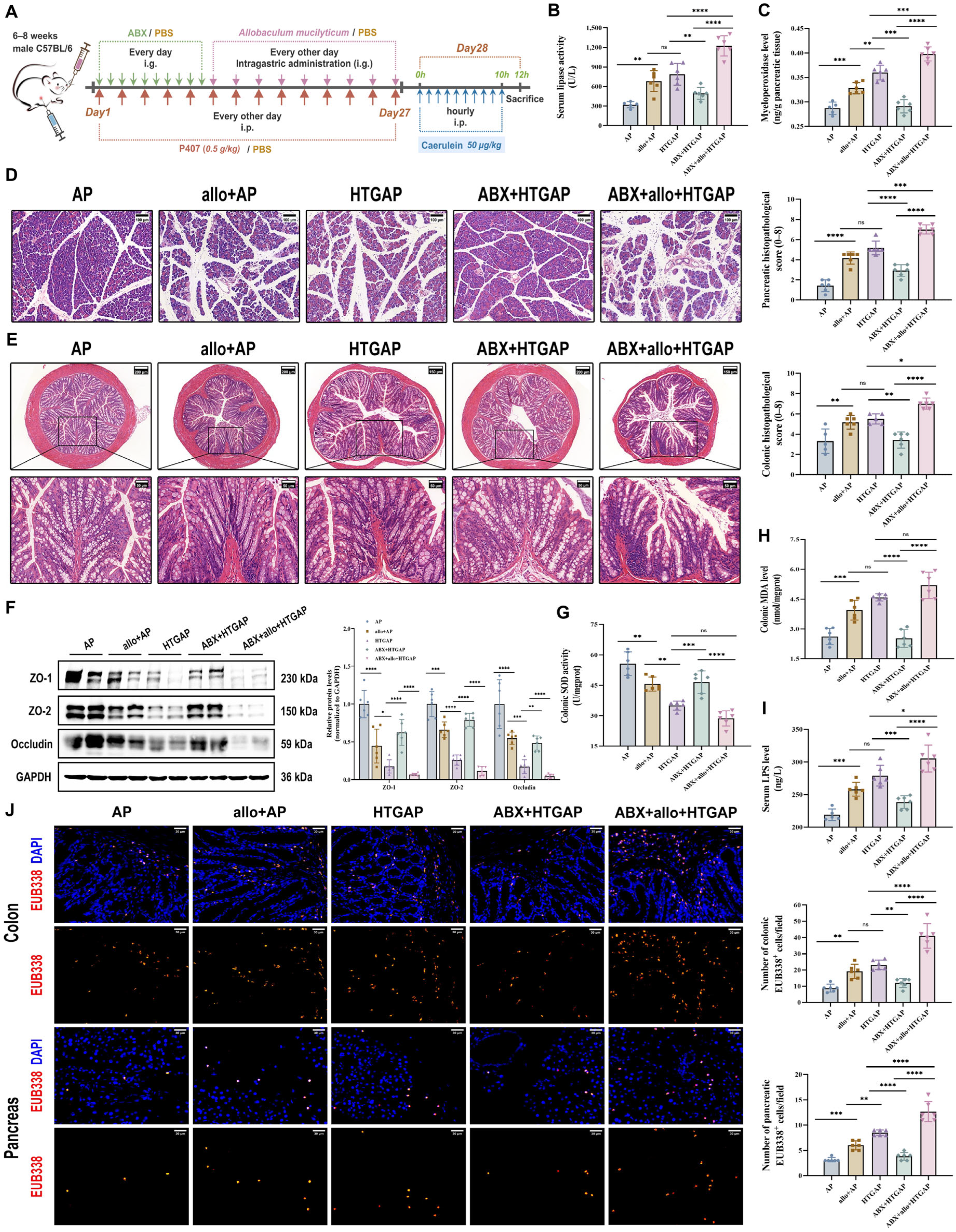 Antioxidants 14 01284 g005