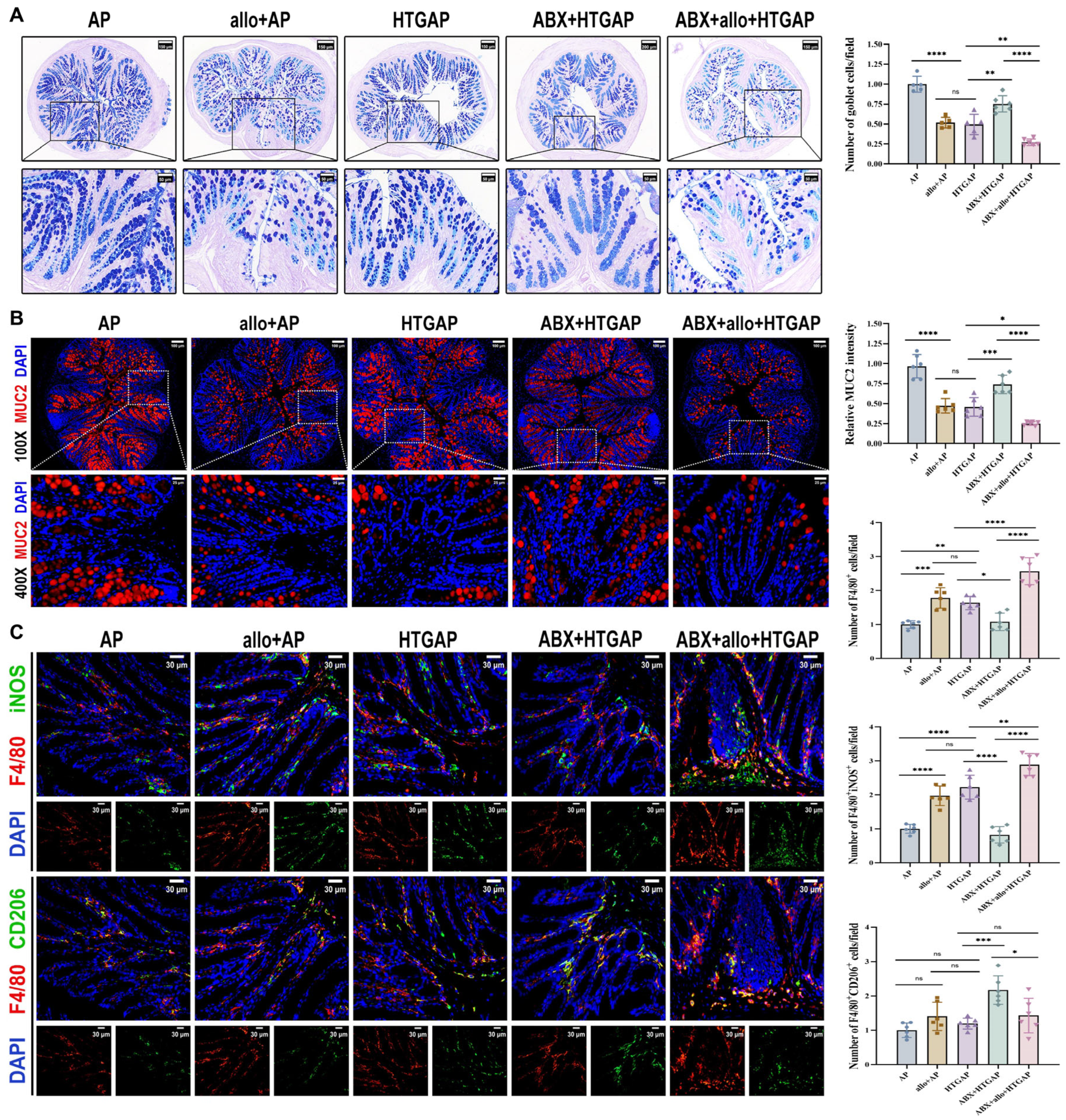 Antioxidants 14 01284 g006