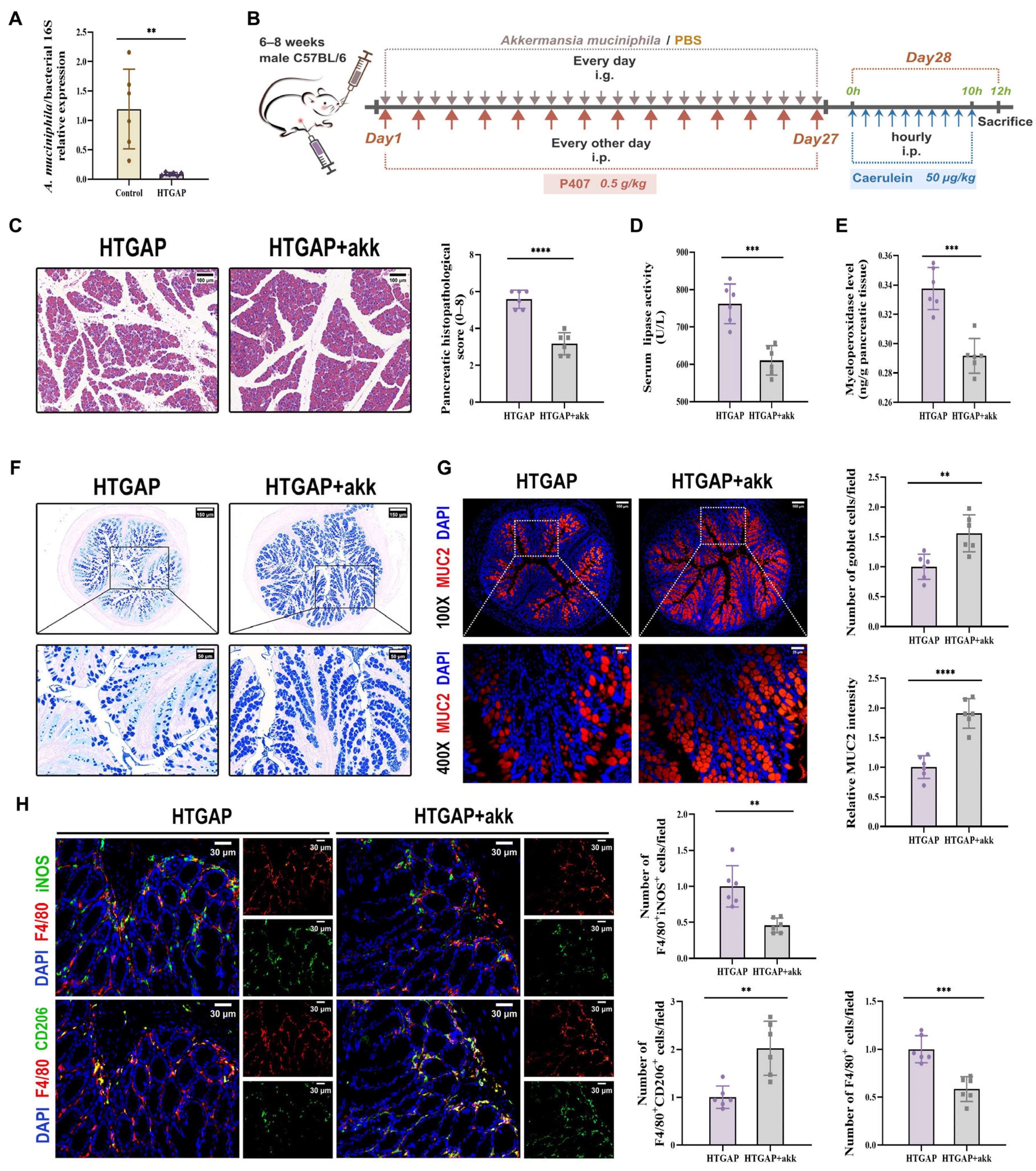 Antioxidants 14 01284 g007